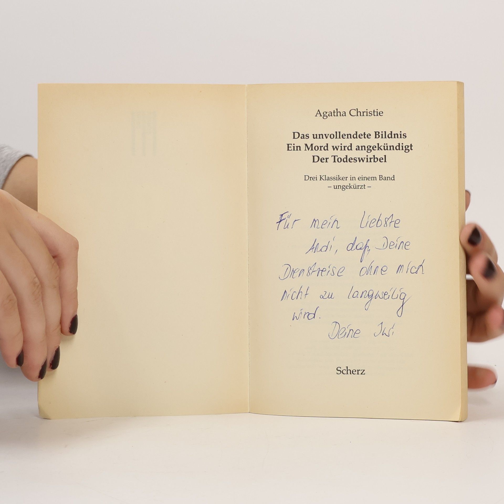 Agatha Christie Das unvollendete Bildnis