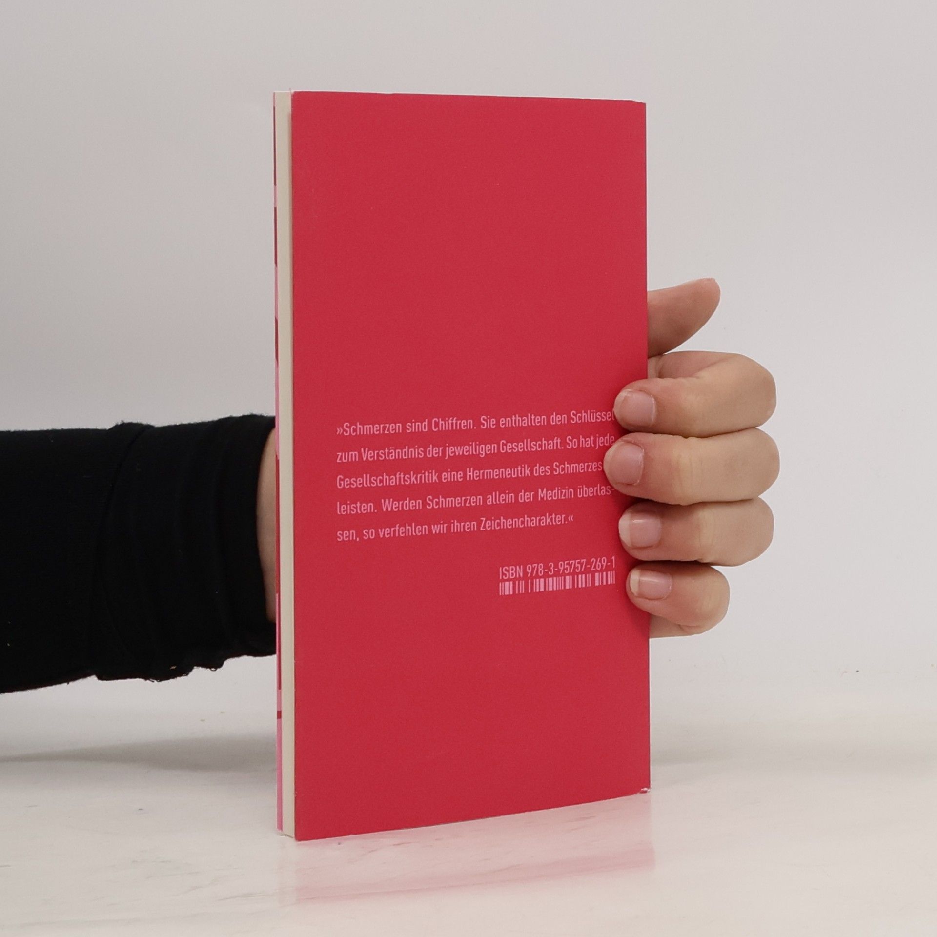 Byung-Chul Han Palliativgesellschaft