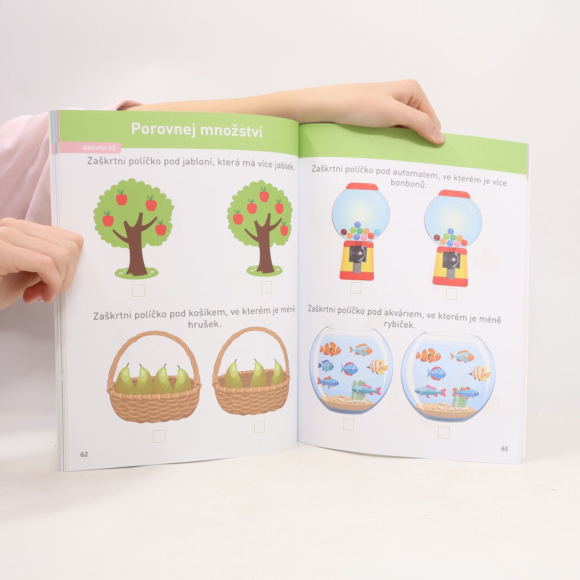 Delphine Urvoy Zvládáme matematiku s Montessori a Singapurskou metodou