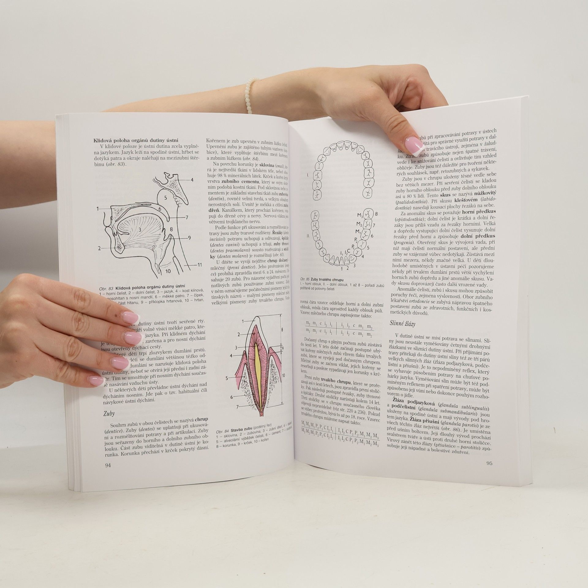 Jitka Machová Biologie člověka pro učitele