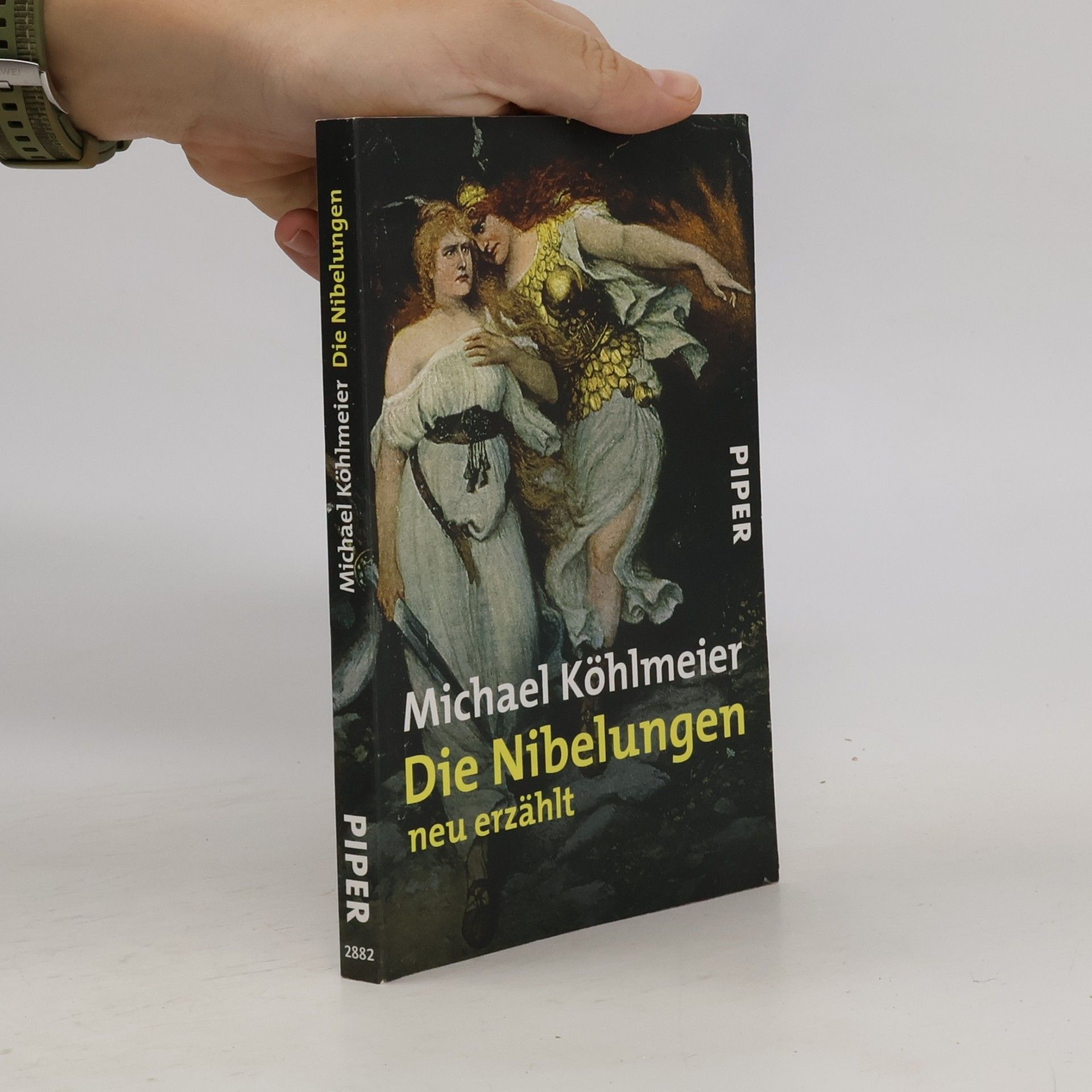 Die Nibelungen neu erzählt