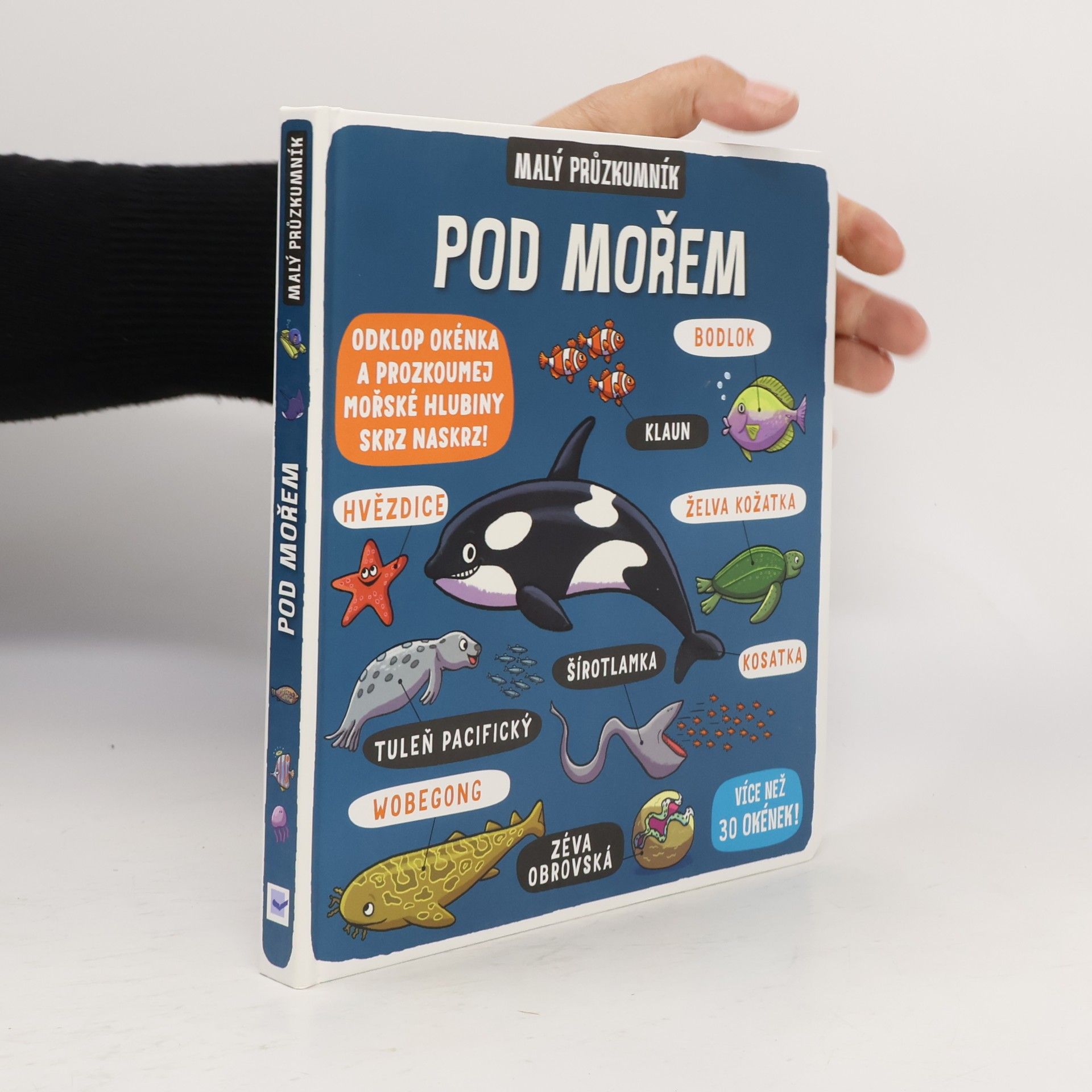 Kolektiv autorů Pod mořem