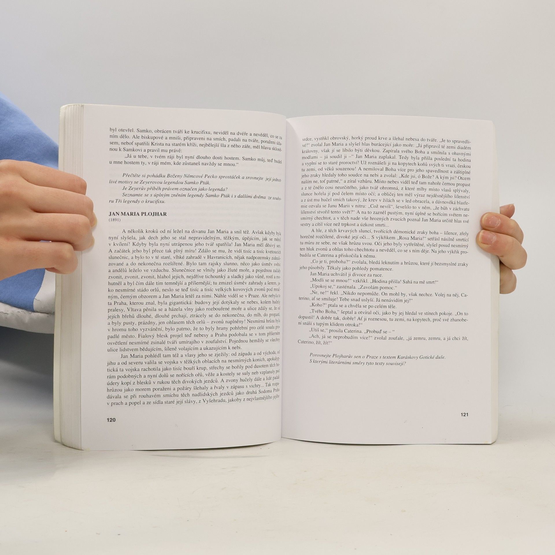 Kolektív autorov Literatura II, Výbor textů, interpretace, literární teorie