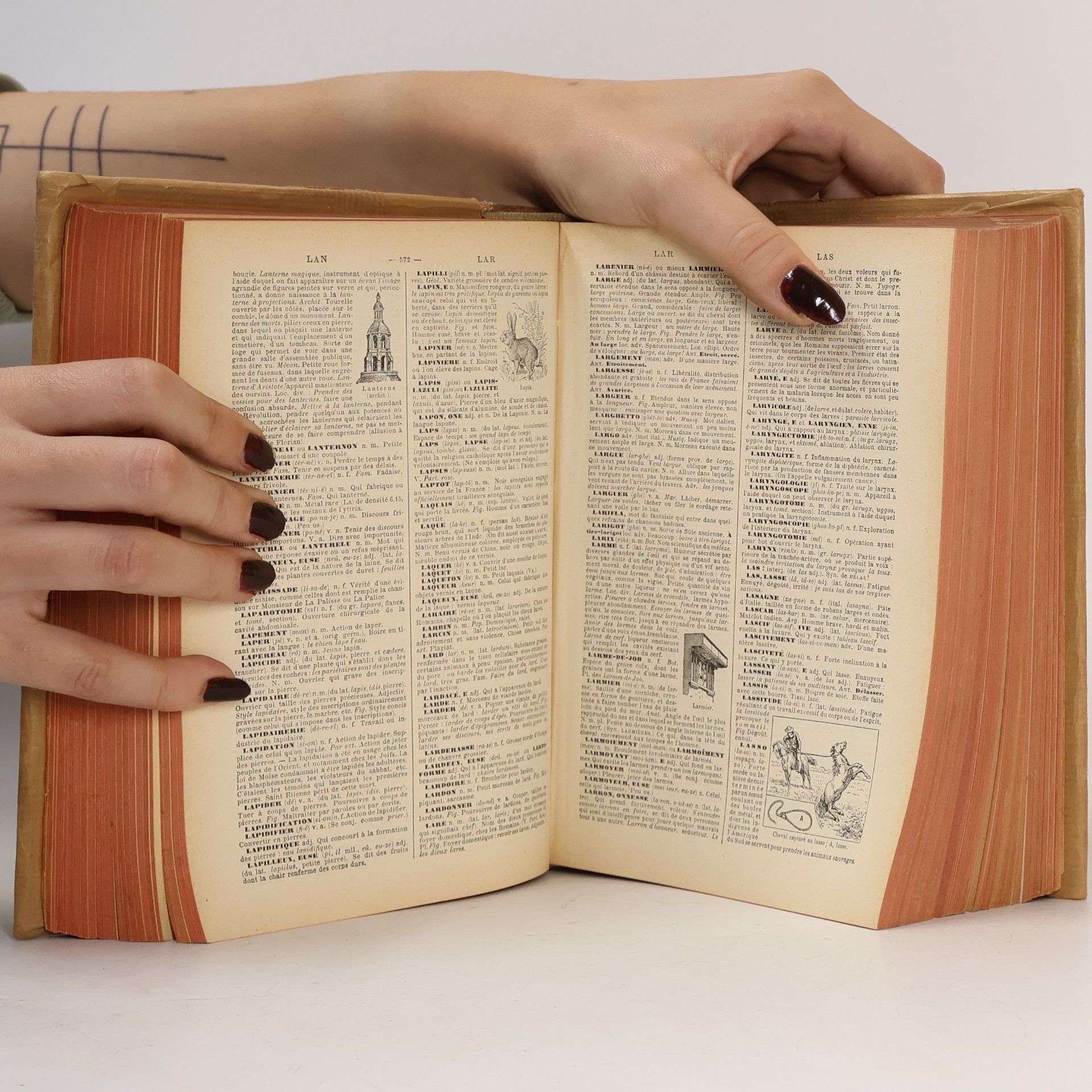 kolektiv Larousse
