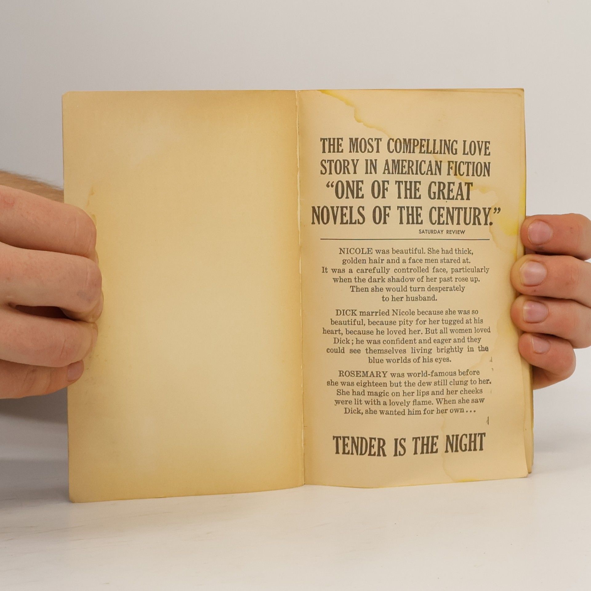 F. Scott Fitzgerald Tender is the Night