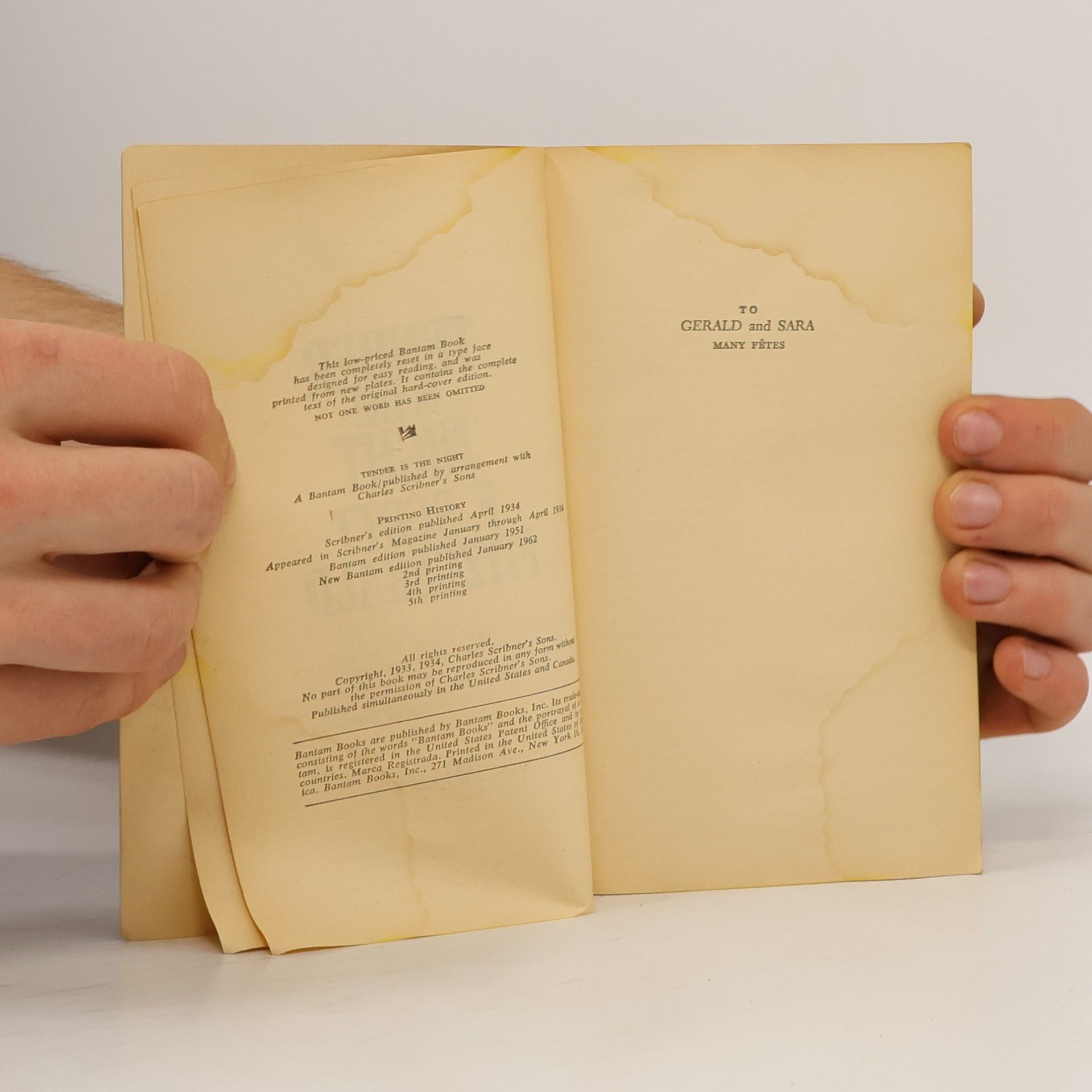 F. Scott Fitzgerald Tender is the Night