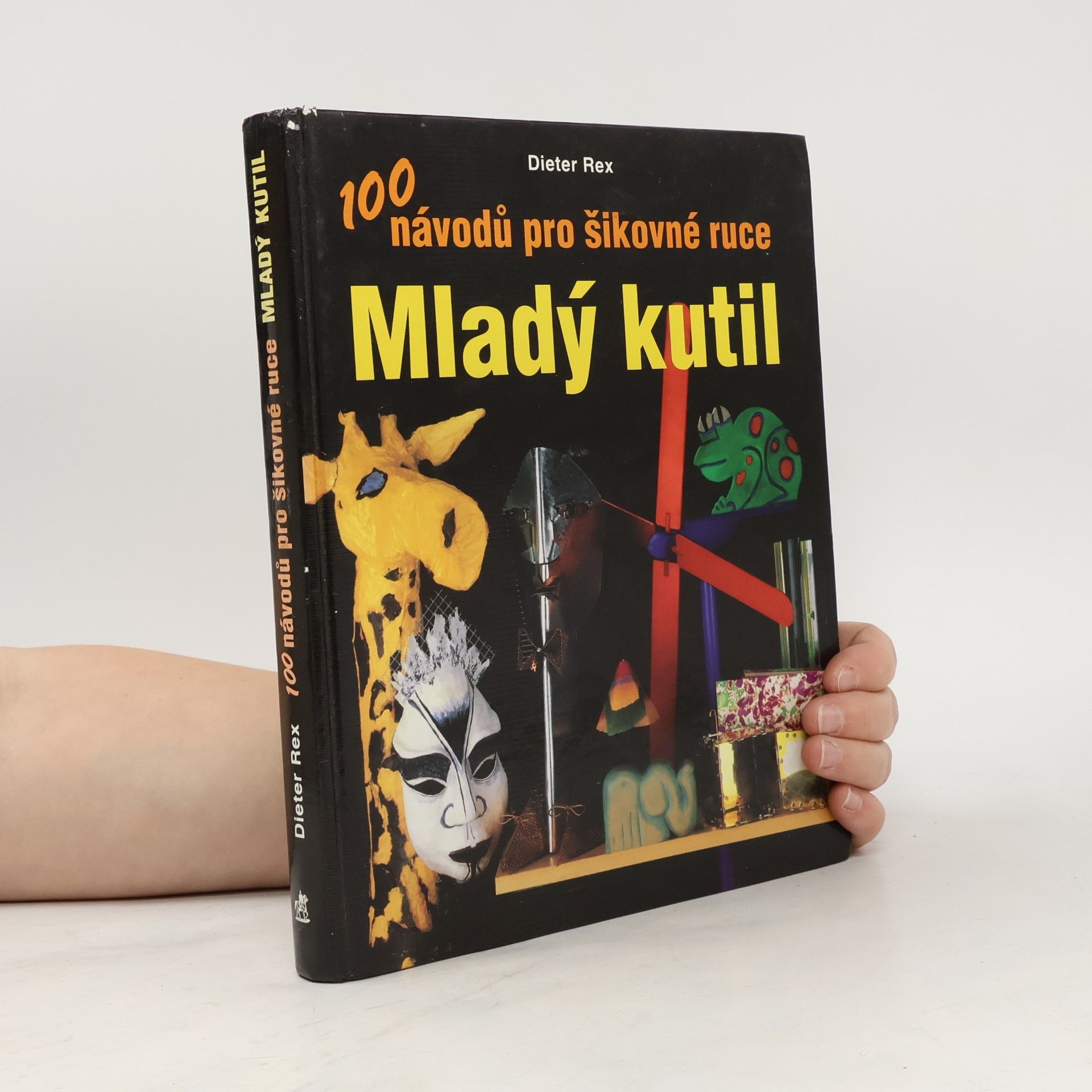 Dieter Rex Mladý kutil. 100 návodů pro šikovné ruce