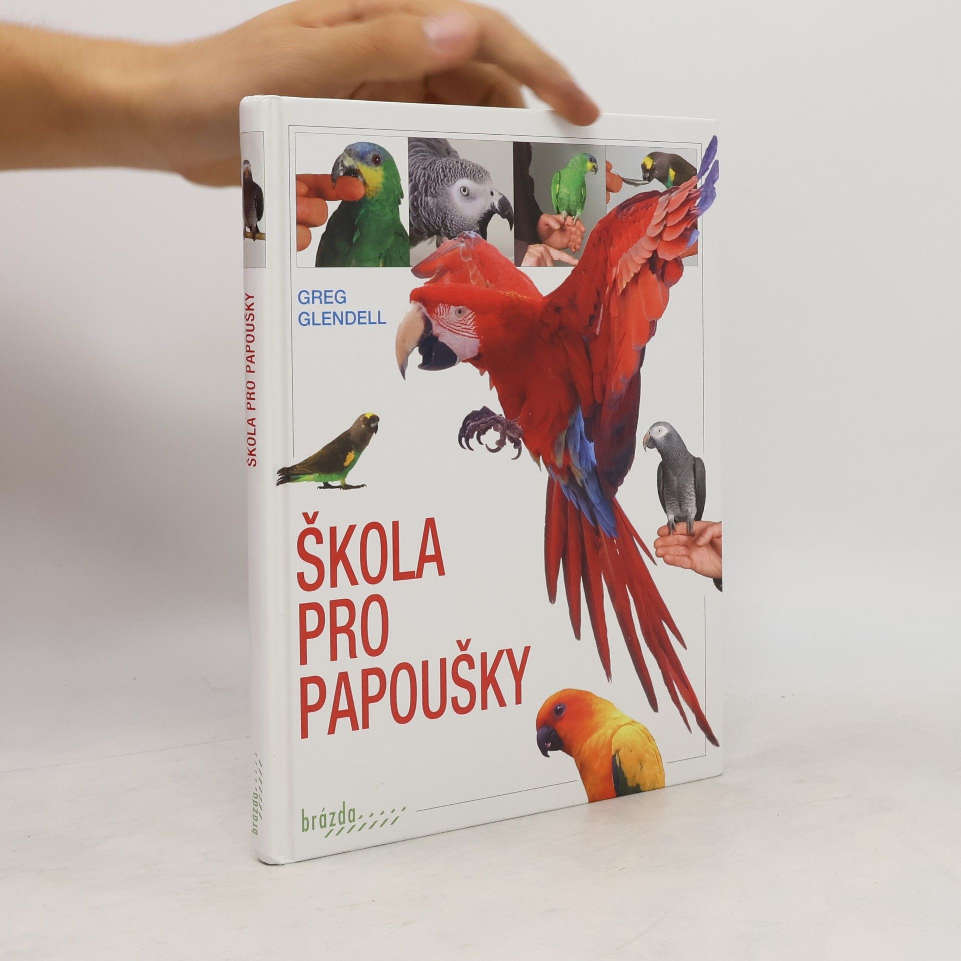 Greg Glendell Škola pro papoušky