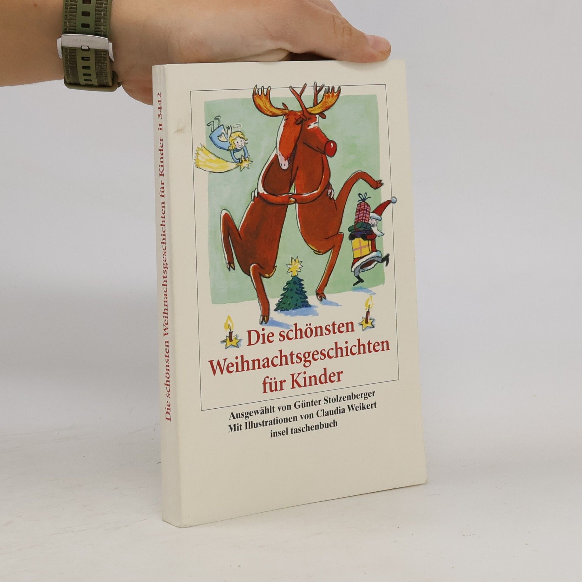 Die schönsten Weihnachtsgeschichten für Kinder