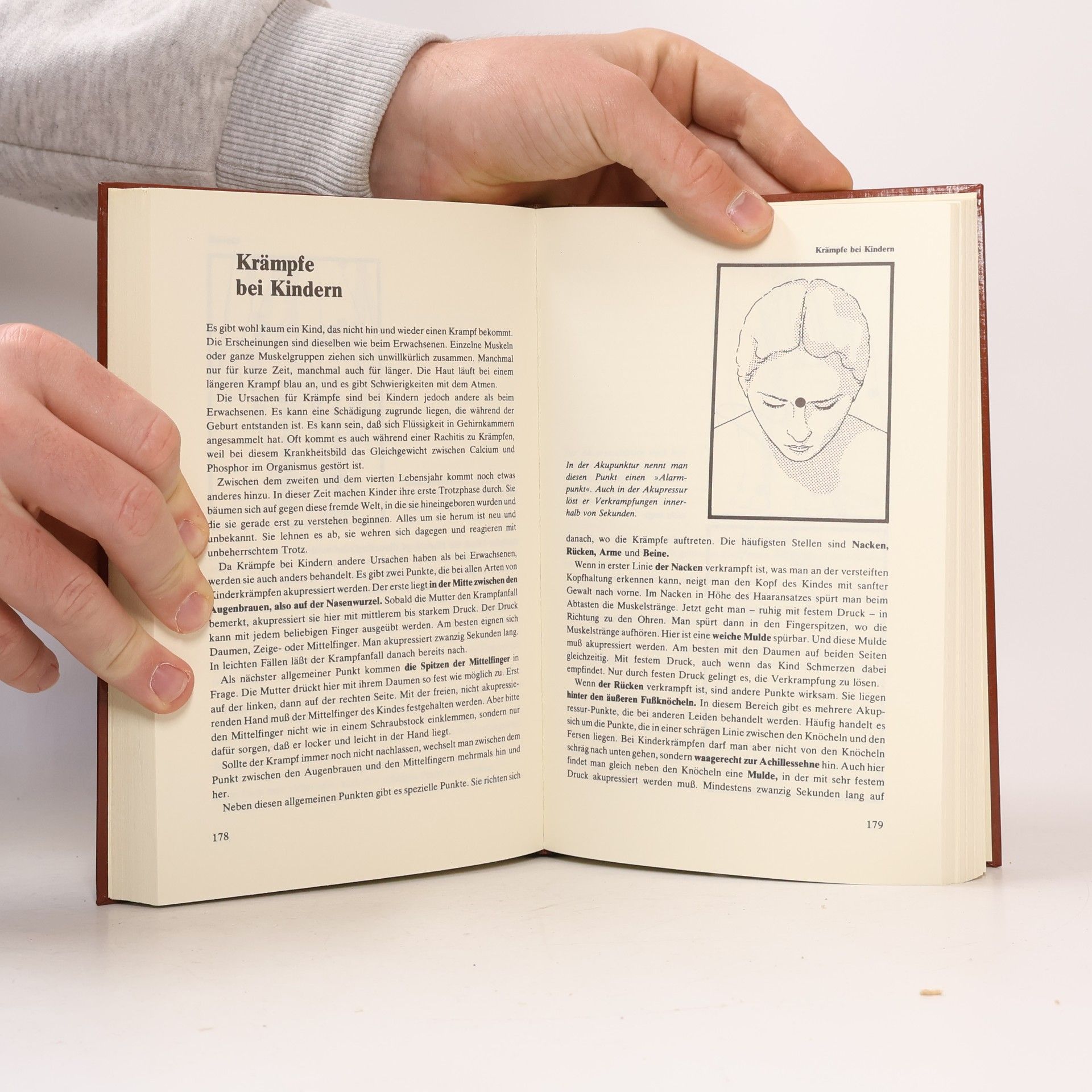 Lutz Bernau Das Grosse Akupressur Buch