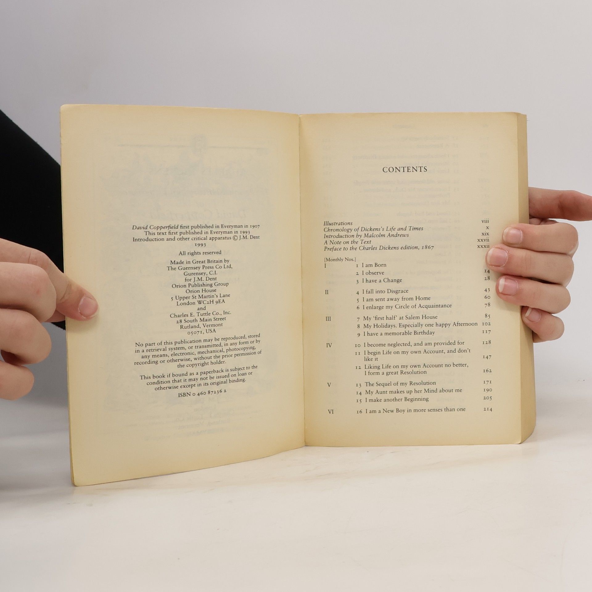 Charles Dickens Everyman Paperback Classics: David Copperfield