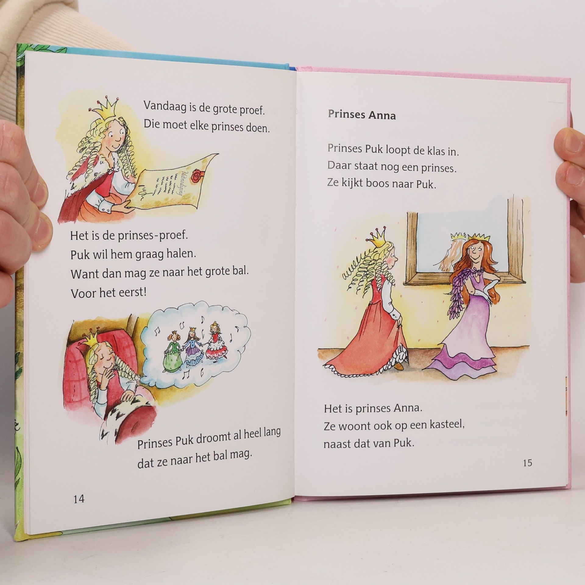 Julia Ginsbach De wilde prinses