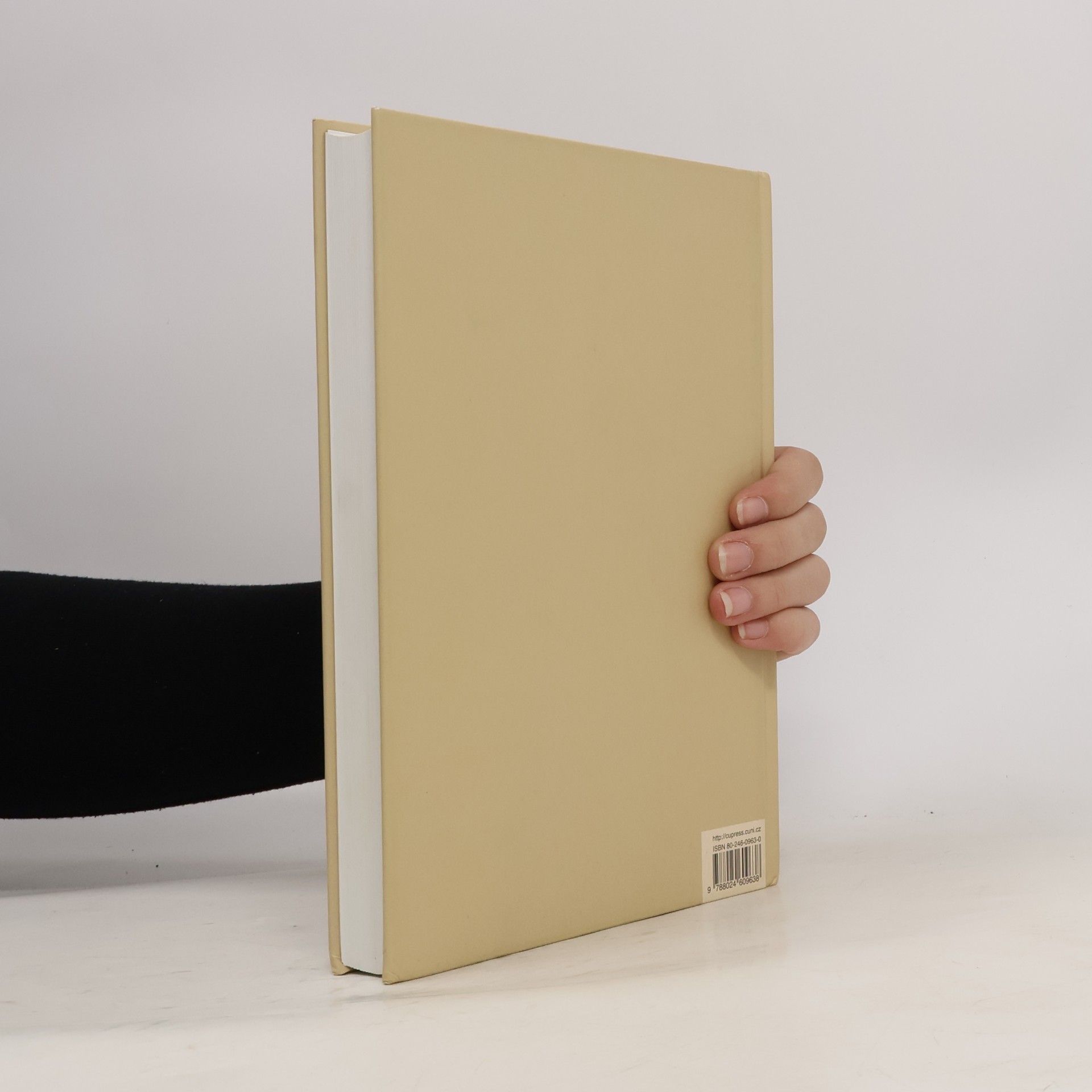 Jan Royt Slovník biblické ikonografie