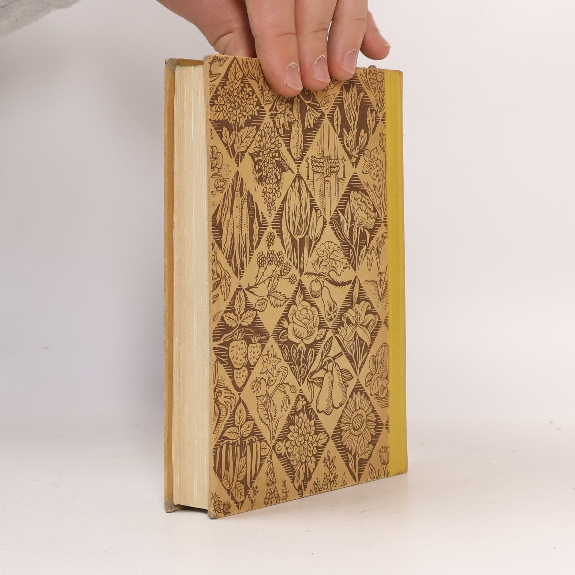 Elly Petersen Das gelbe Gartenbuch