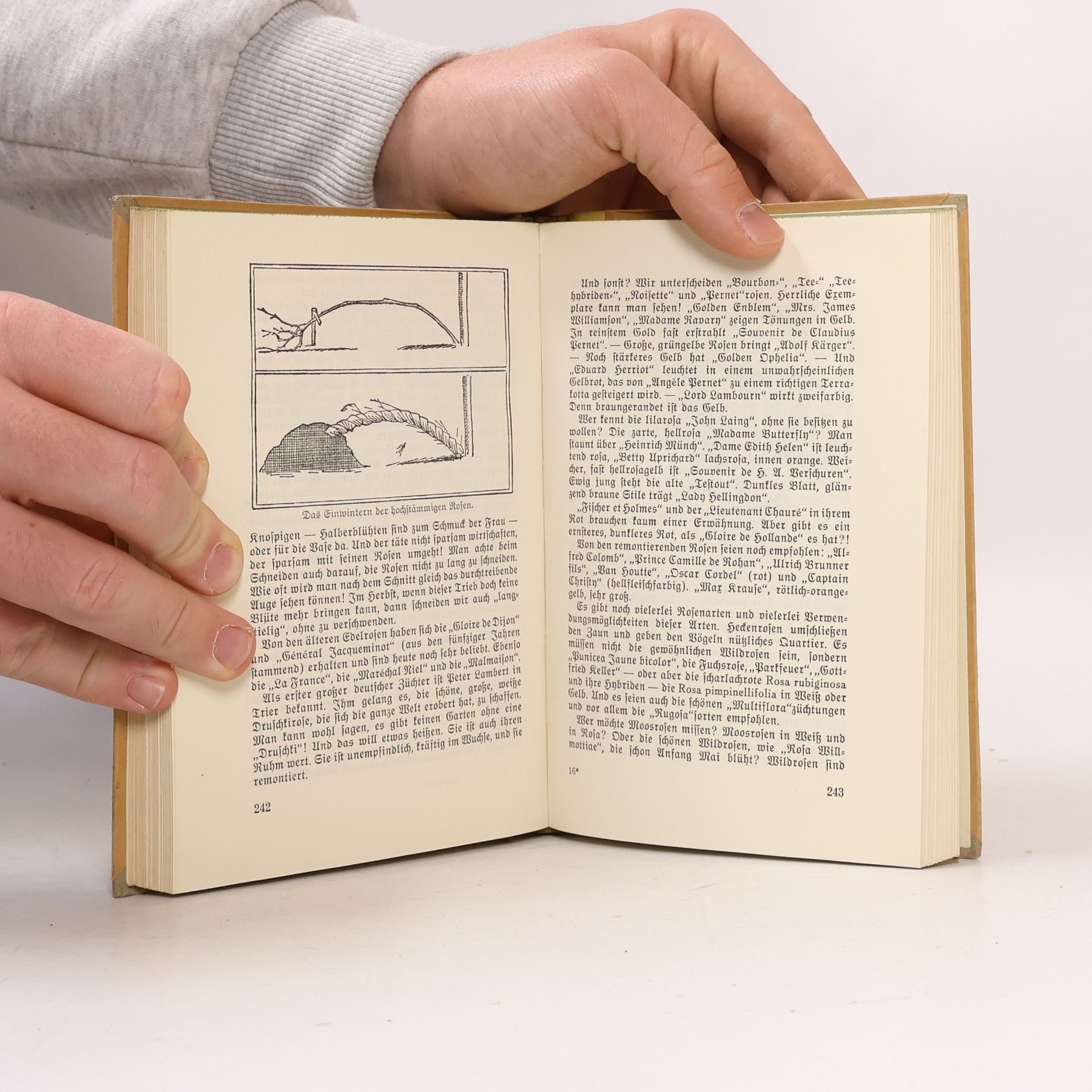 Elly Petersen Das gelbe Gartenbuch