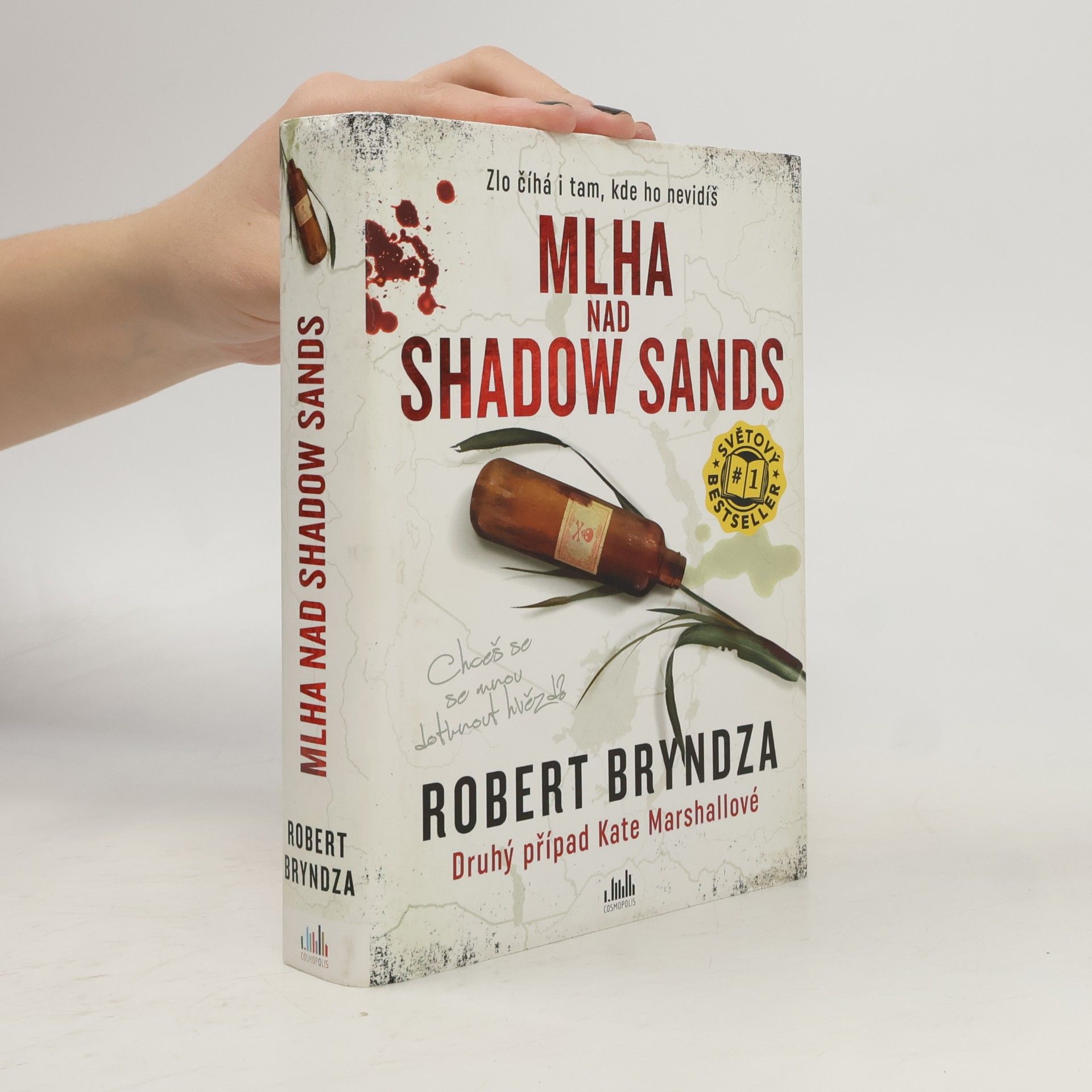 Robert Bryndza Mlha nad Shadow Sands