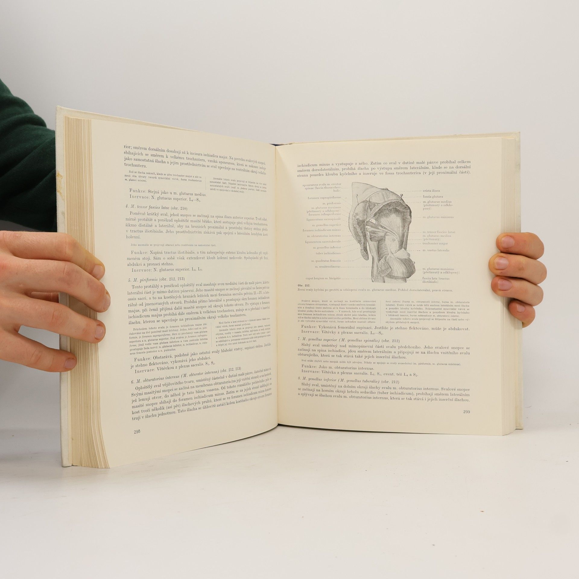 Kolektiv autorů Soustavná anatomie člověka I.