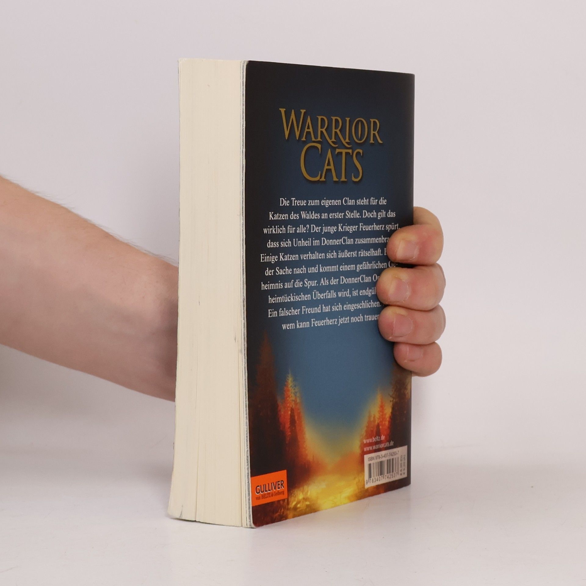 Erin Hunter Warrior Cats. Geheimnis des Waldes