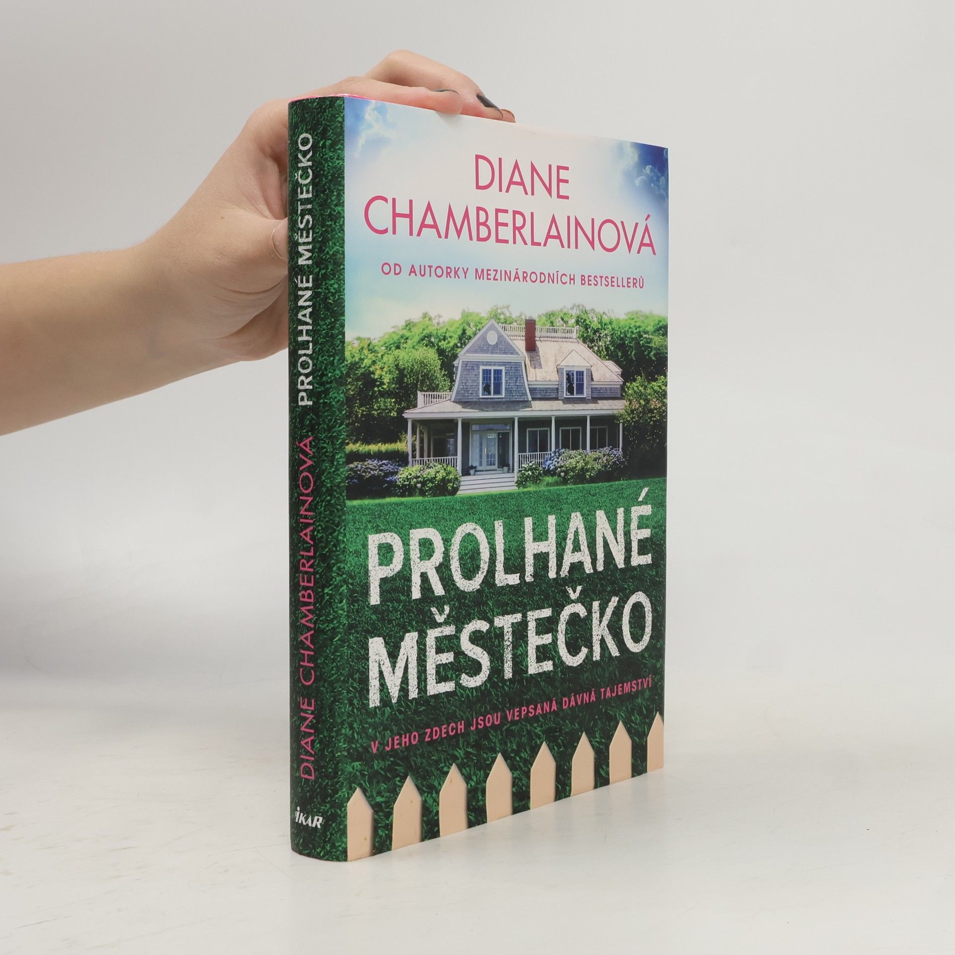 Diane Chamberlain Prolhané městečko