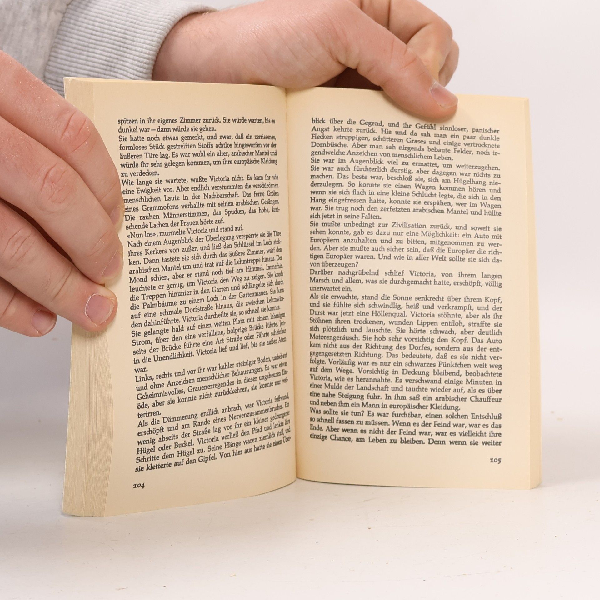 Agatha Christie Sie kamen nach Bagdad