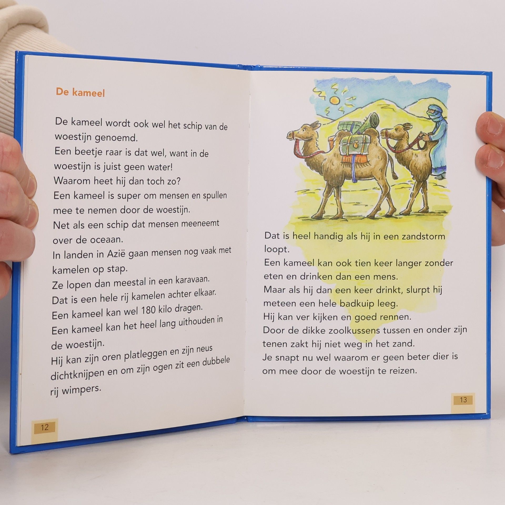 Annemarie Bon Dieren met een baan 7