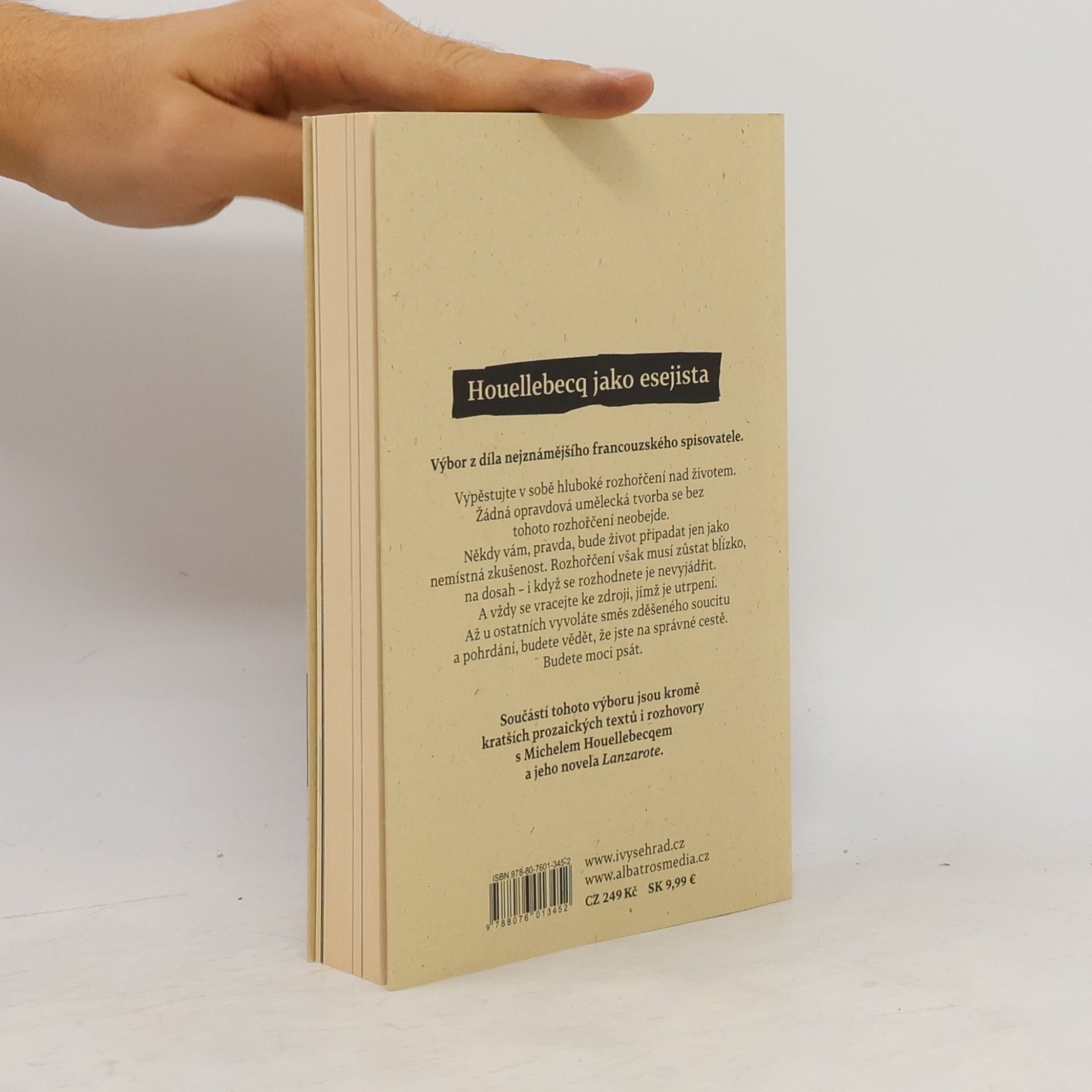 Michel Houellebecq Eseje