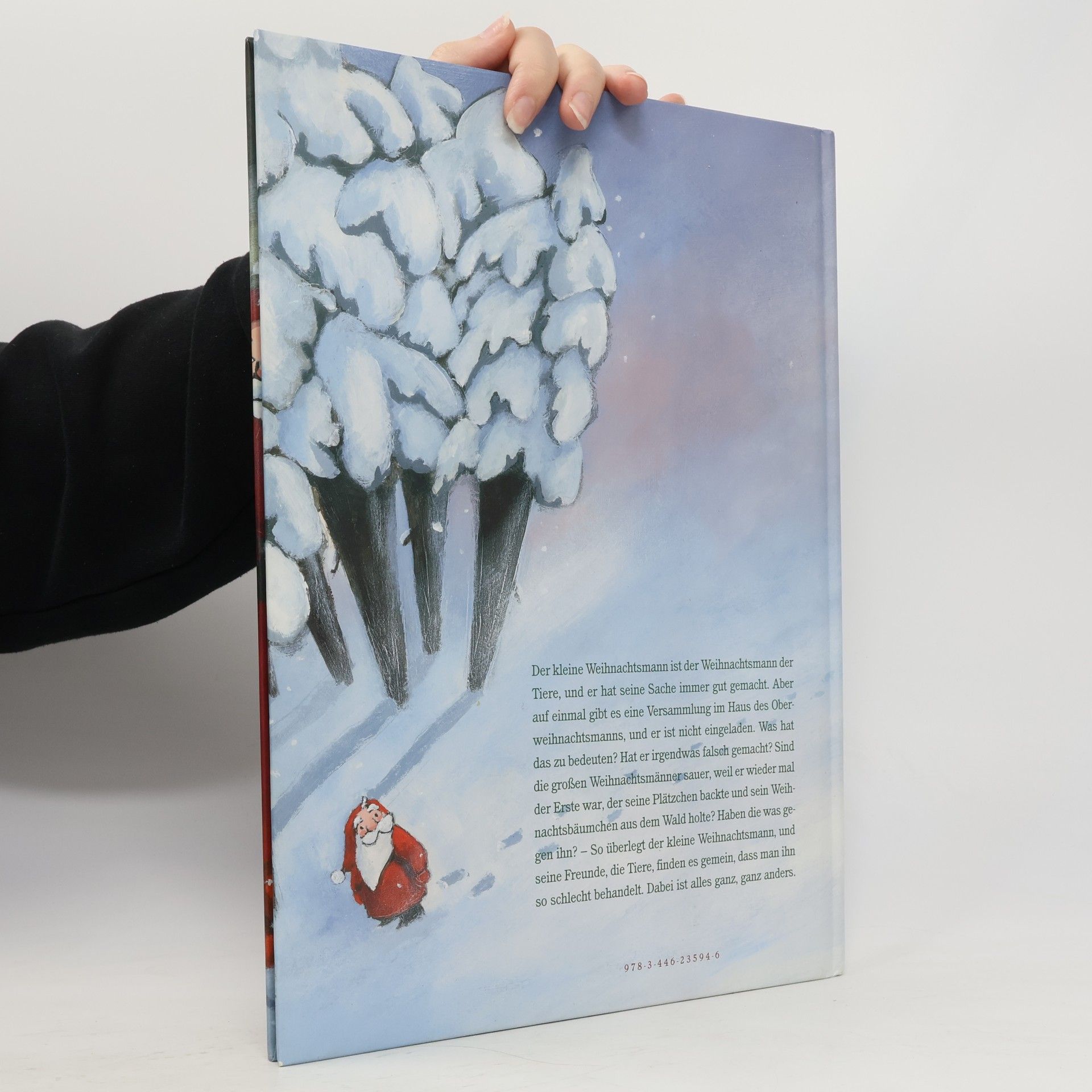 Anu Stohner Der kleine Weihnachtsmann ganz groß