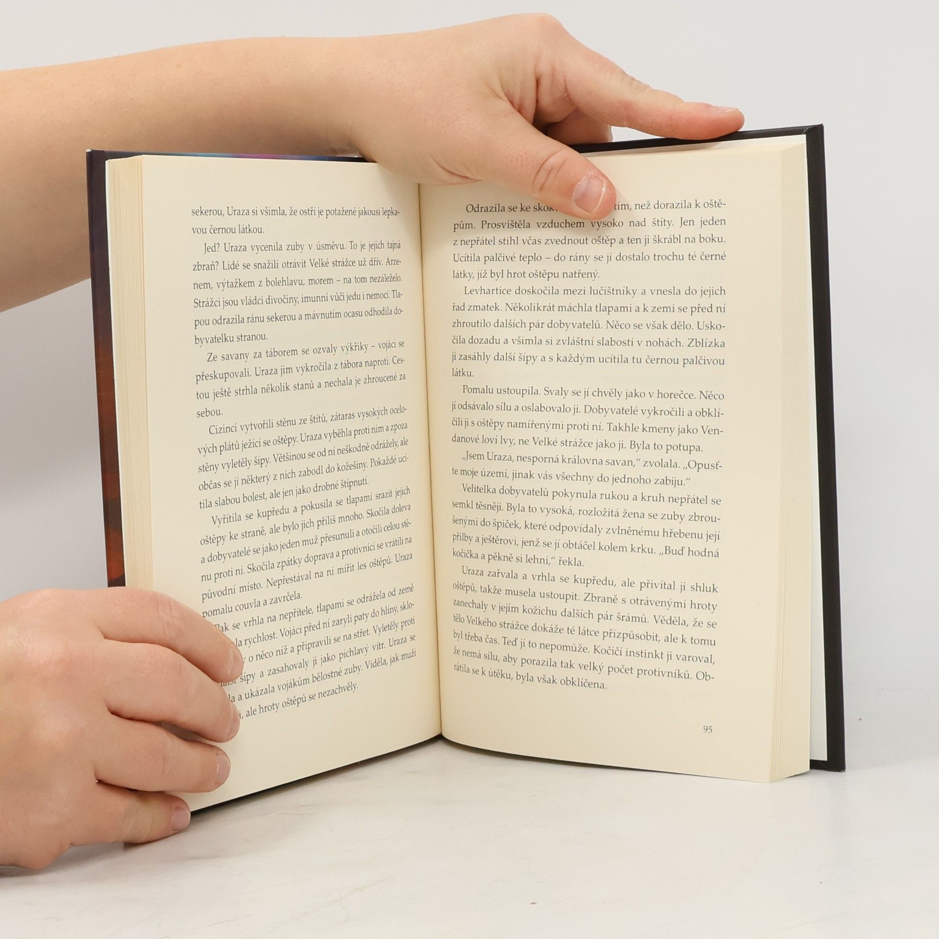 Brandon Mull Příběhy Velkých strážců