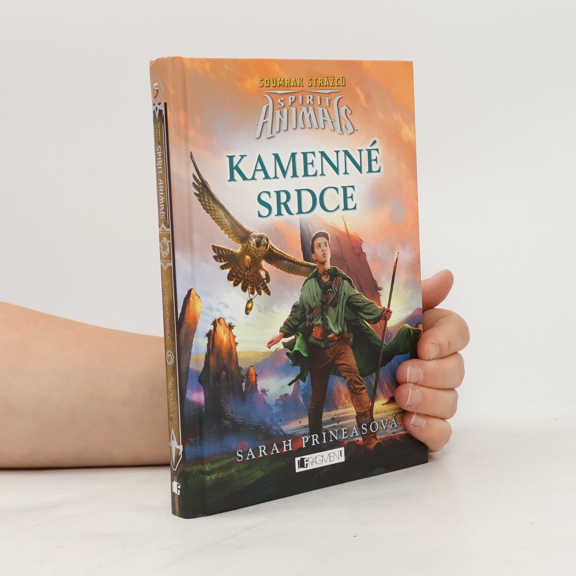 Sarah Prineas Kamenné srdce