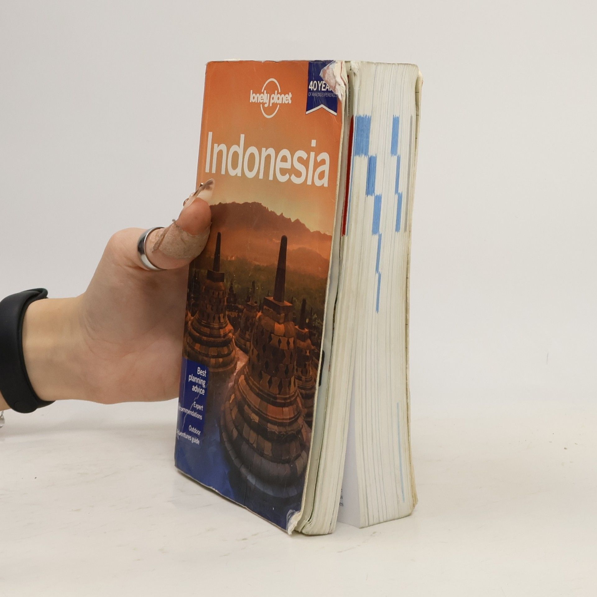 Ryan Ver Berkmoes Indonesia