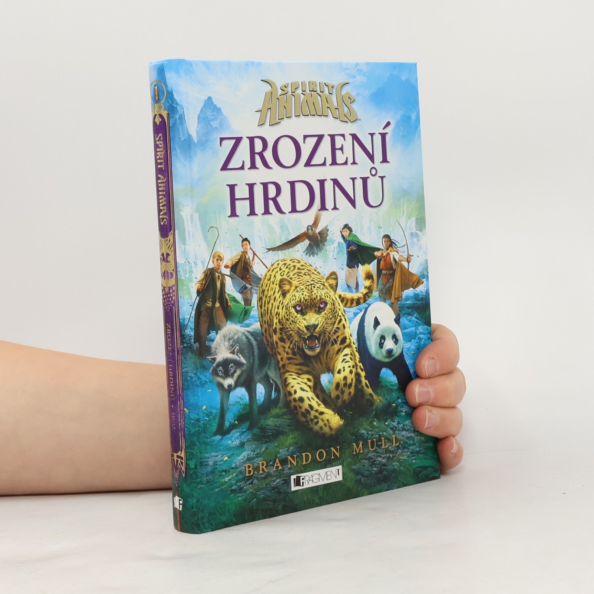 Brandon Mull Zrození hrdinů