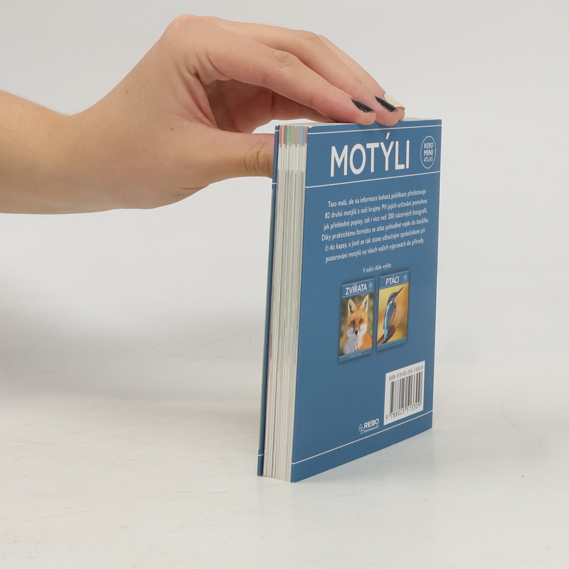 Various authors Motýli miniatlas
