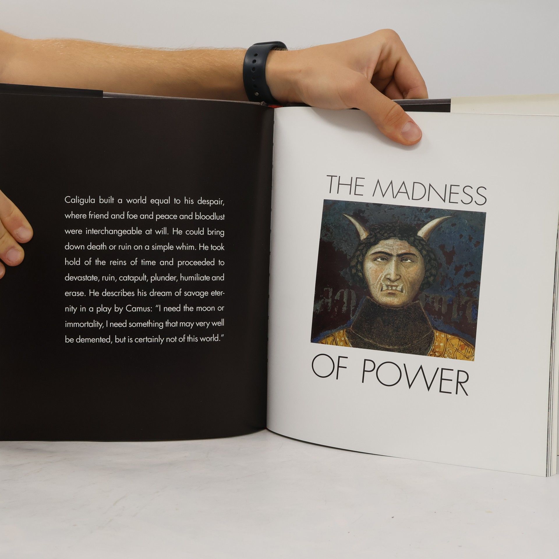 Philippe Meyer Art & Madness
