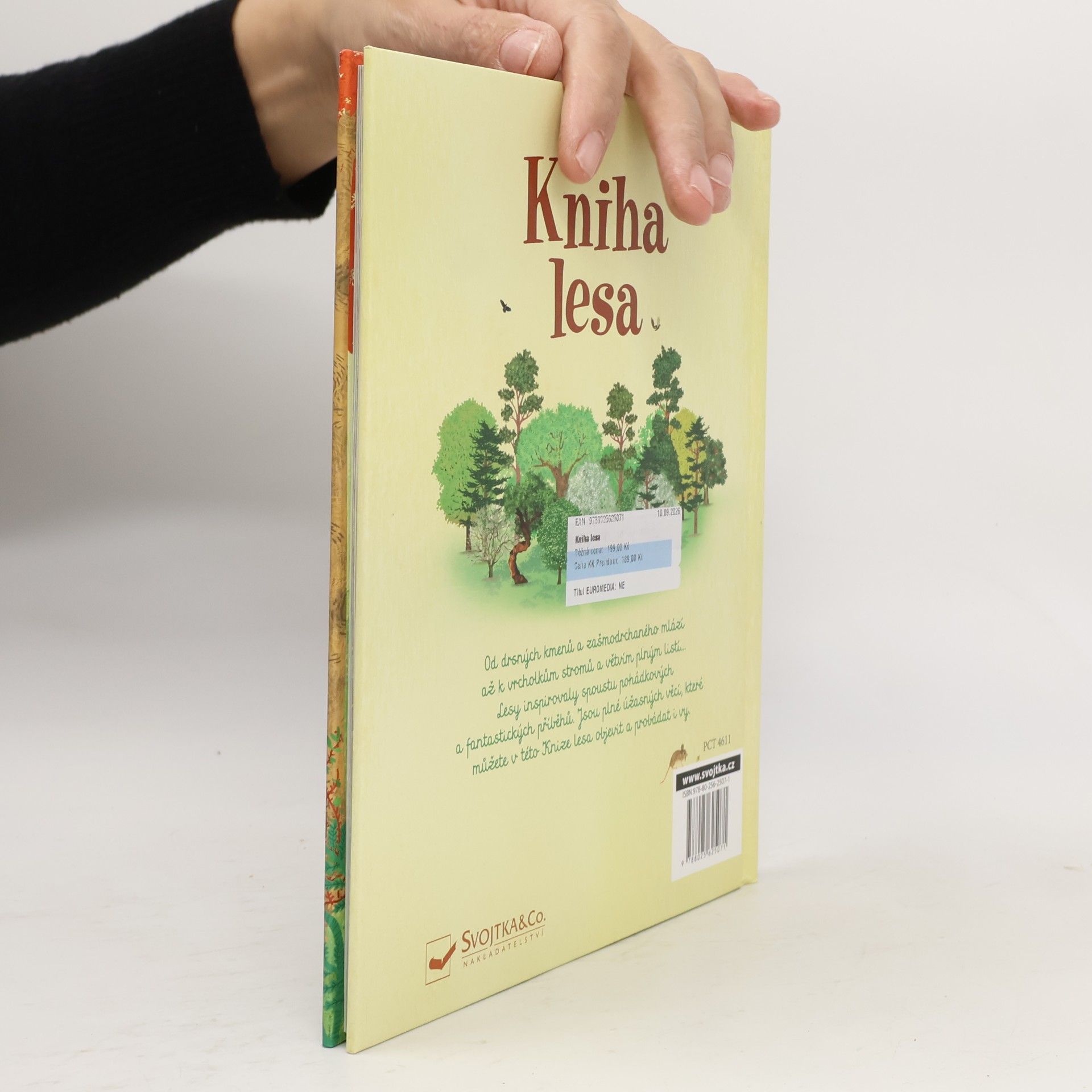 Autorenkollektiv Kniha lesa