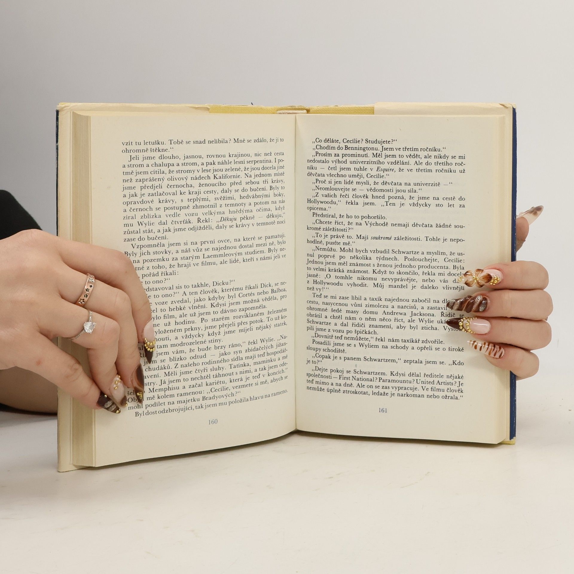 Francis Scott Fitzgerald Velký Gatsby. Poslední magnát