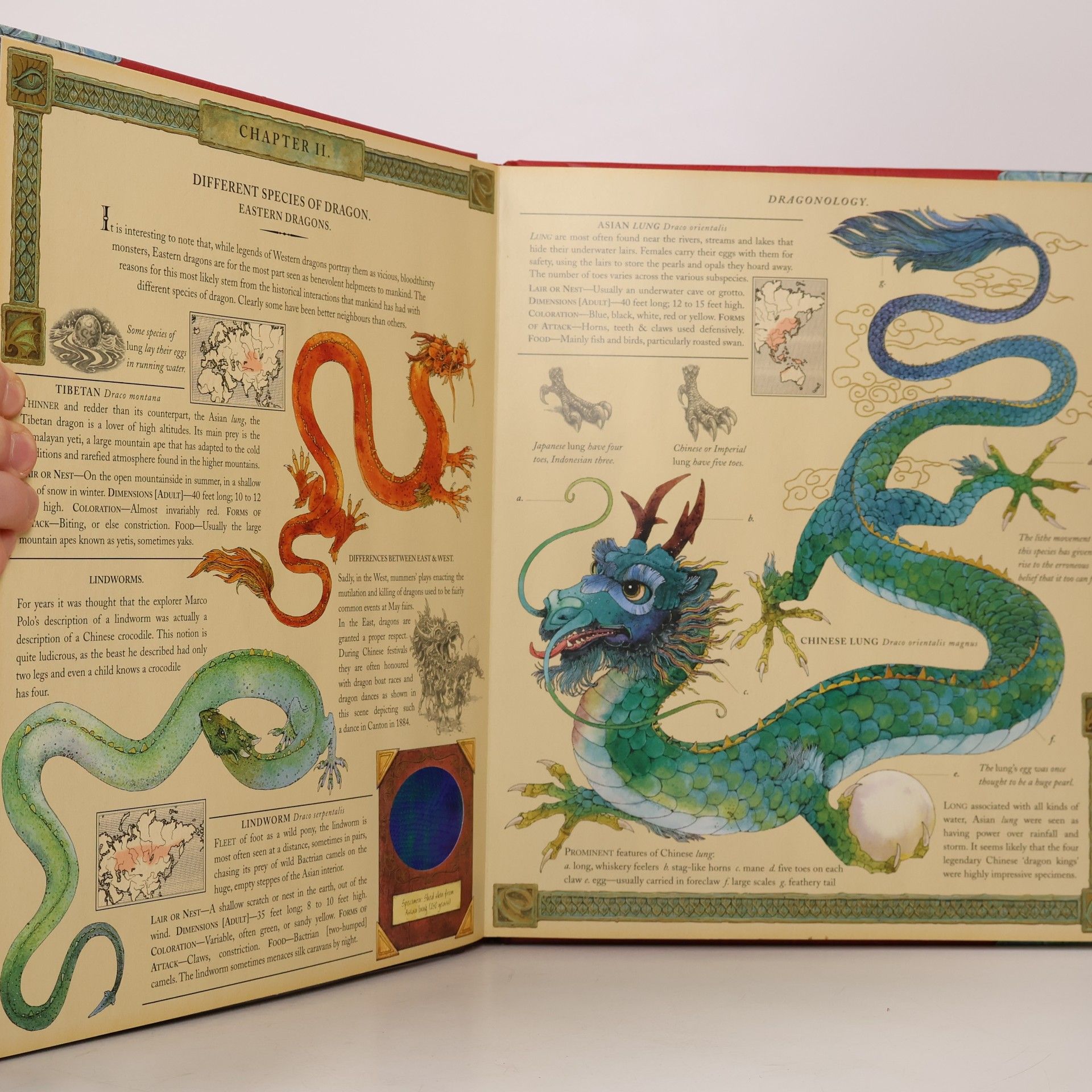 Autorenkollektiv Dragonology