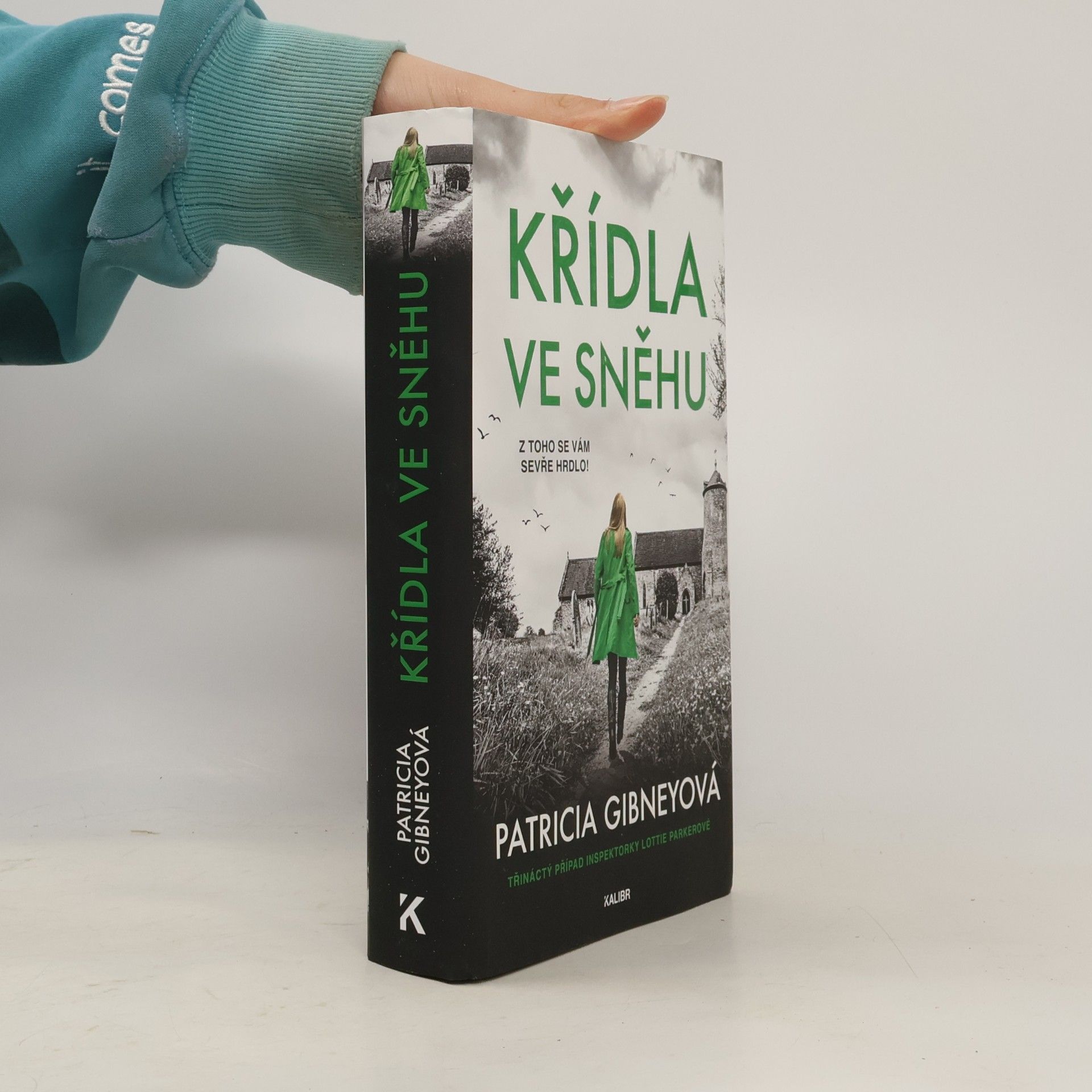 Křídla ve sněhu