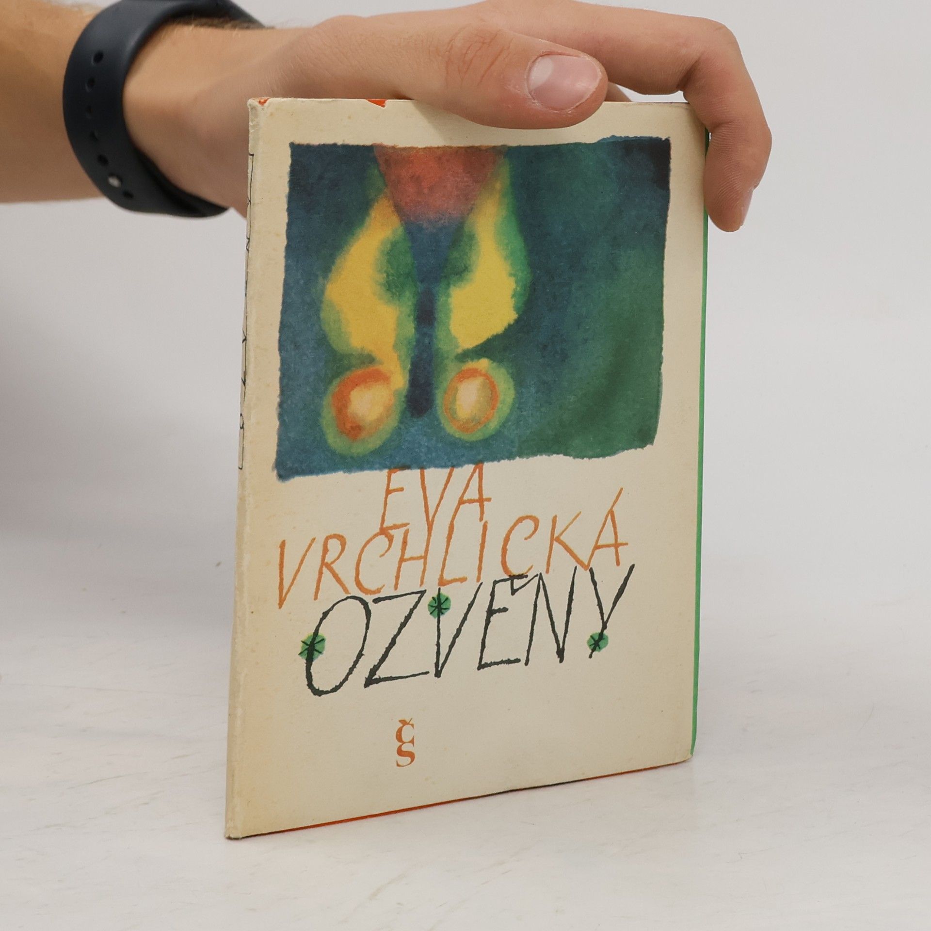 Eva Vrchlická Ozvěny