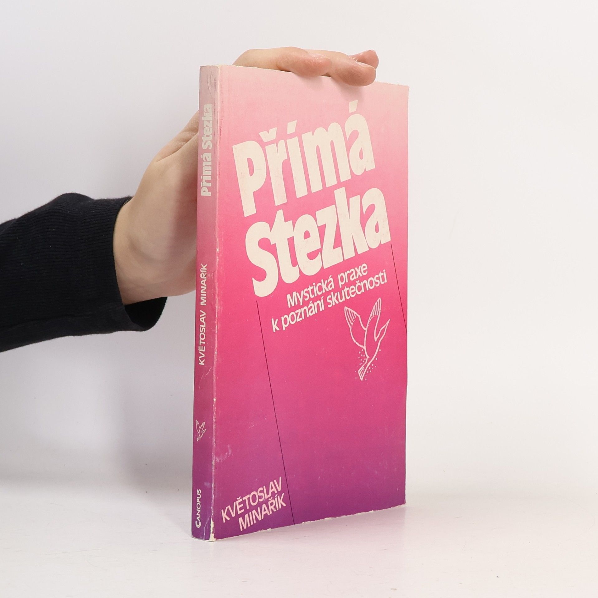 Přímá stezka