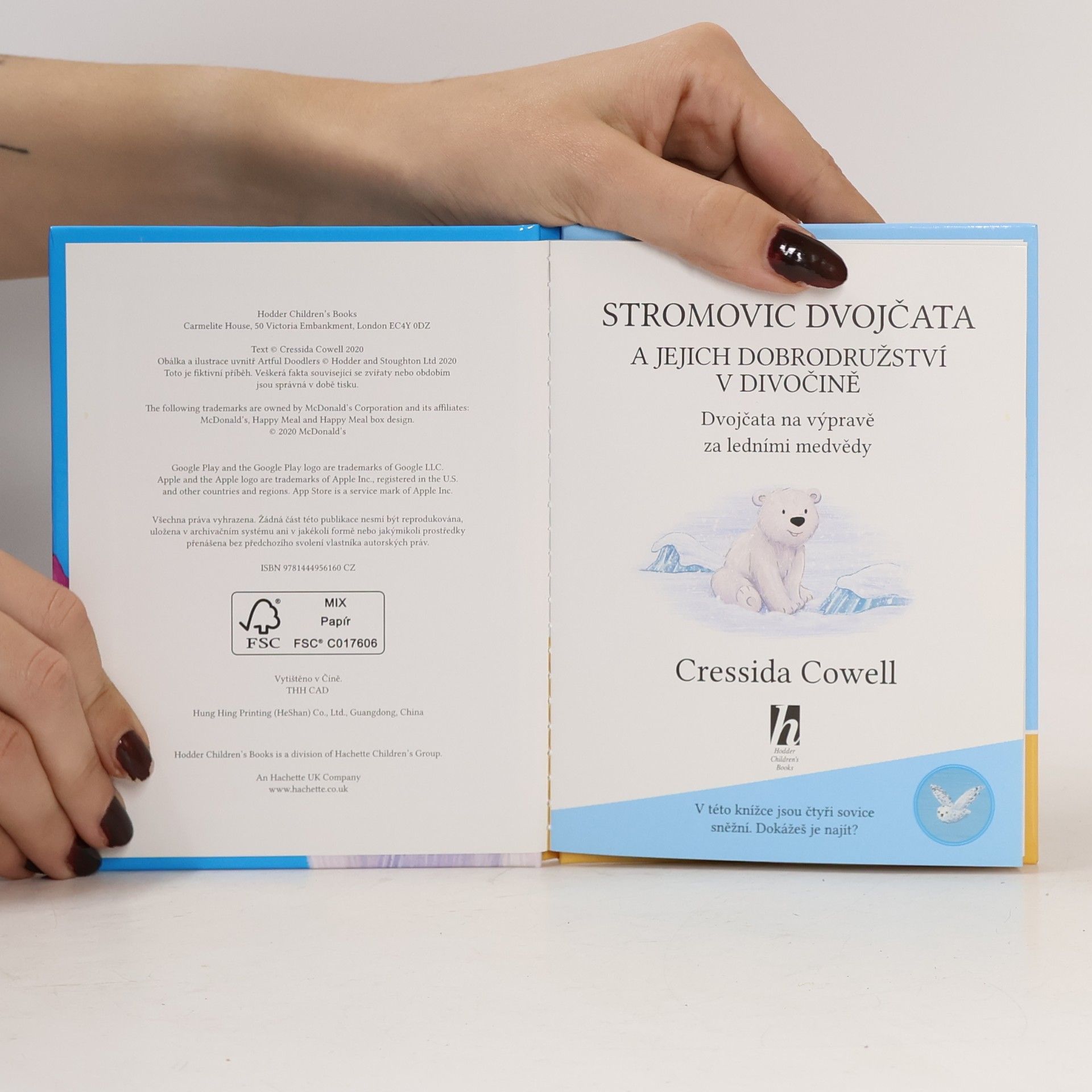 Cressida Cowell Stromovic dvojčata a jejich dobrodružství v divočině