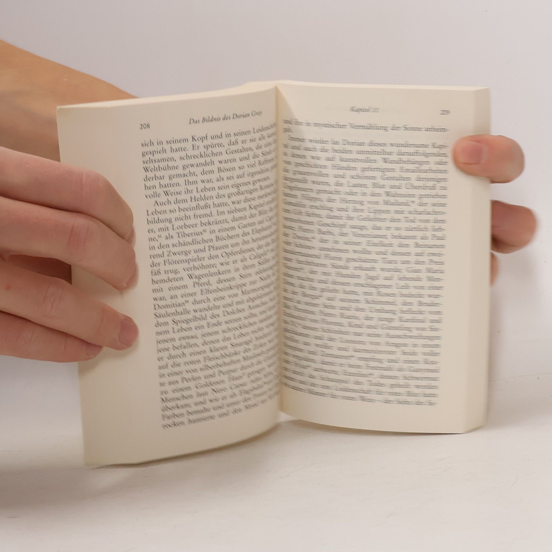 Oscar Wilde Das Bildnis des Dorian Gray