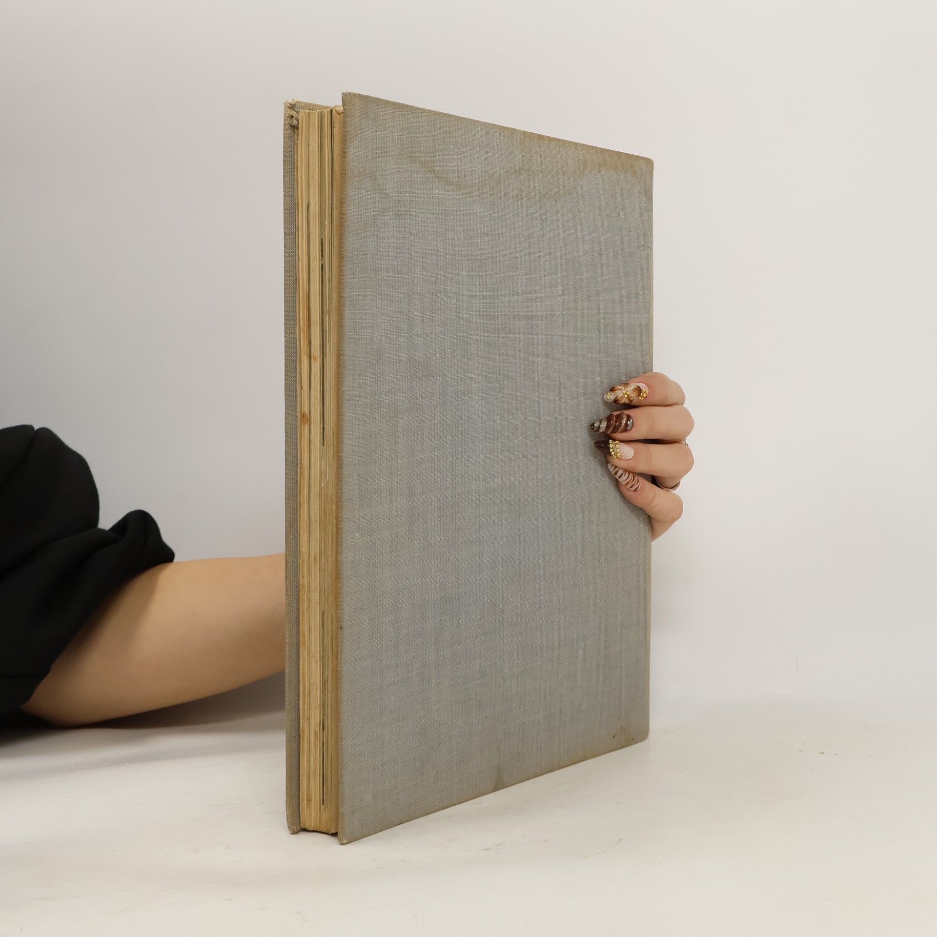 Various authors Lví silou. Pocta a dík Sokolstvu