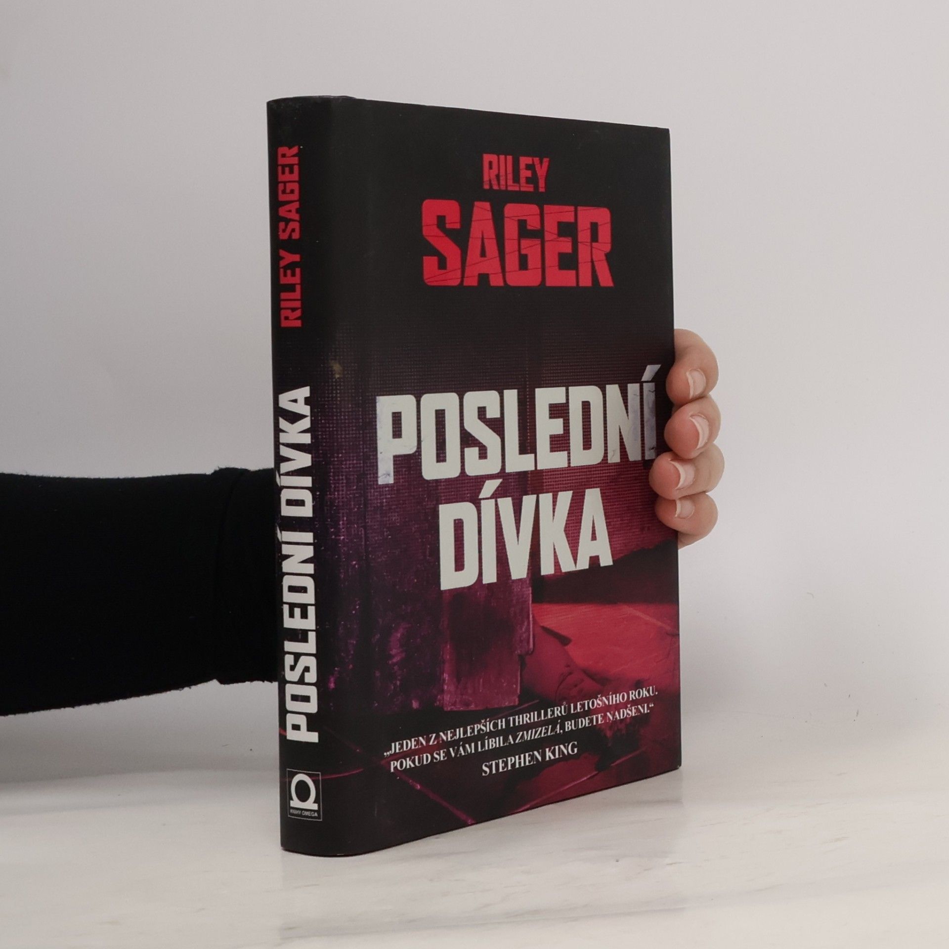 Todd Ritter Poslední dívka