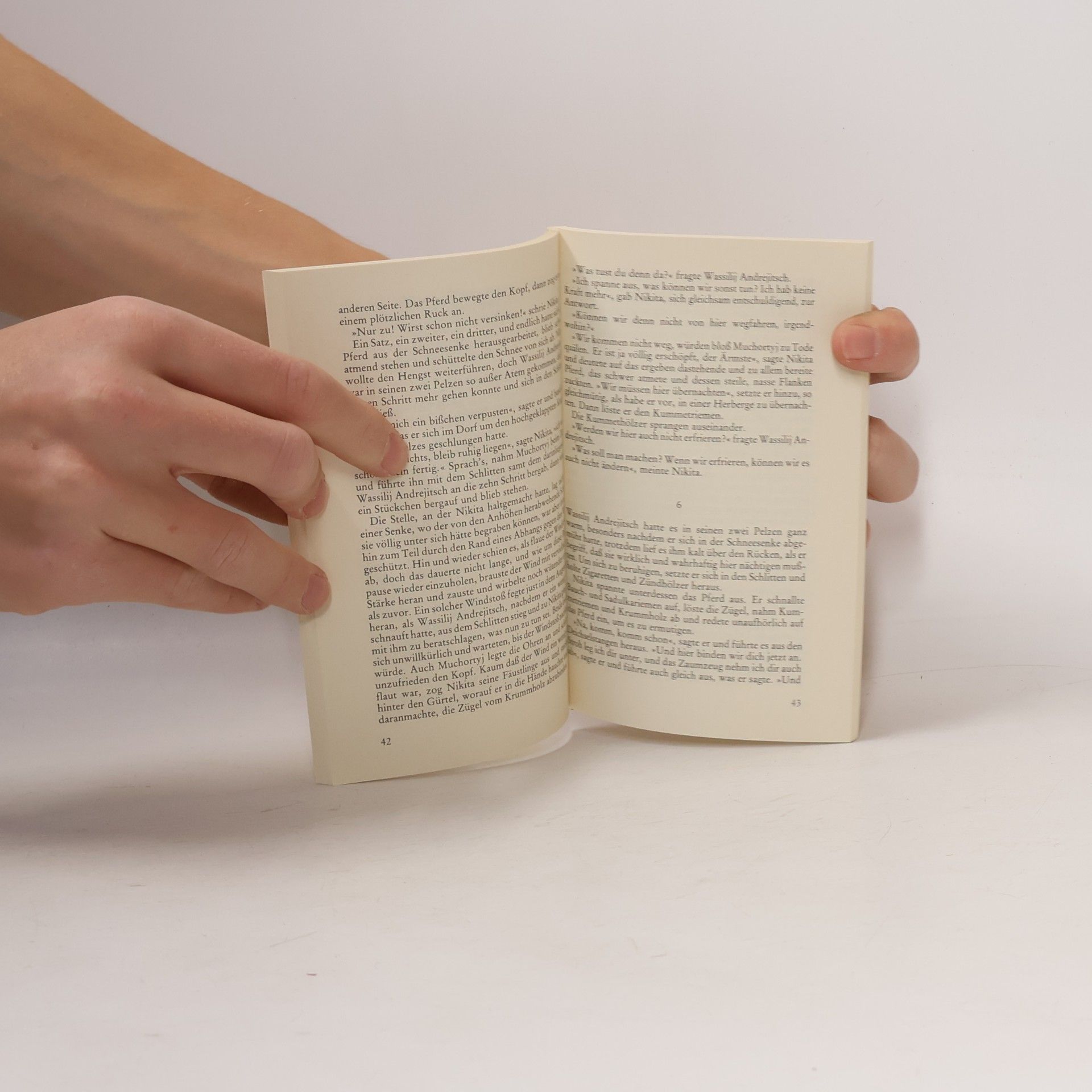 Leone Tolstoi Herr und Knecht