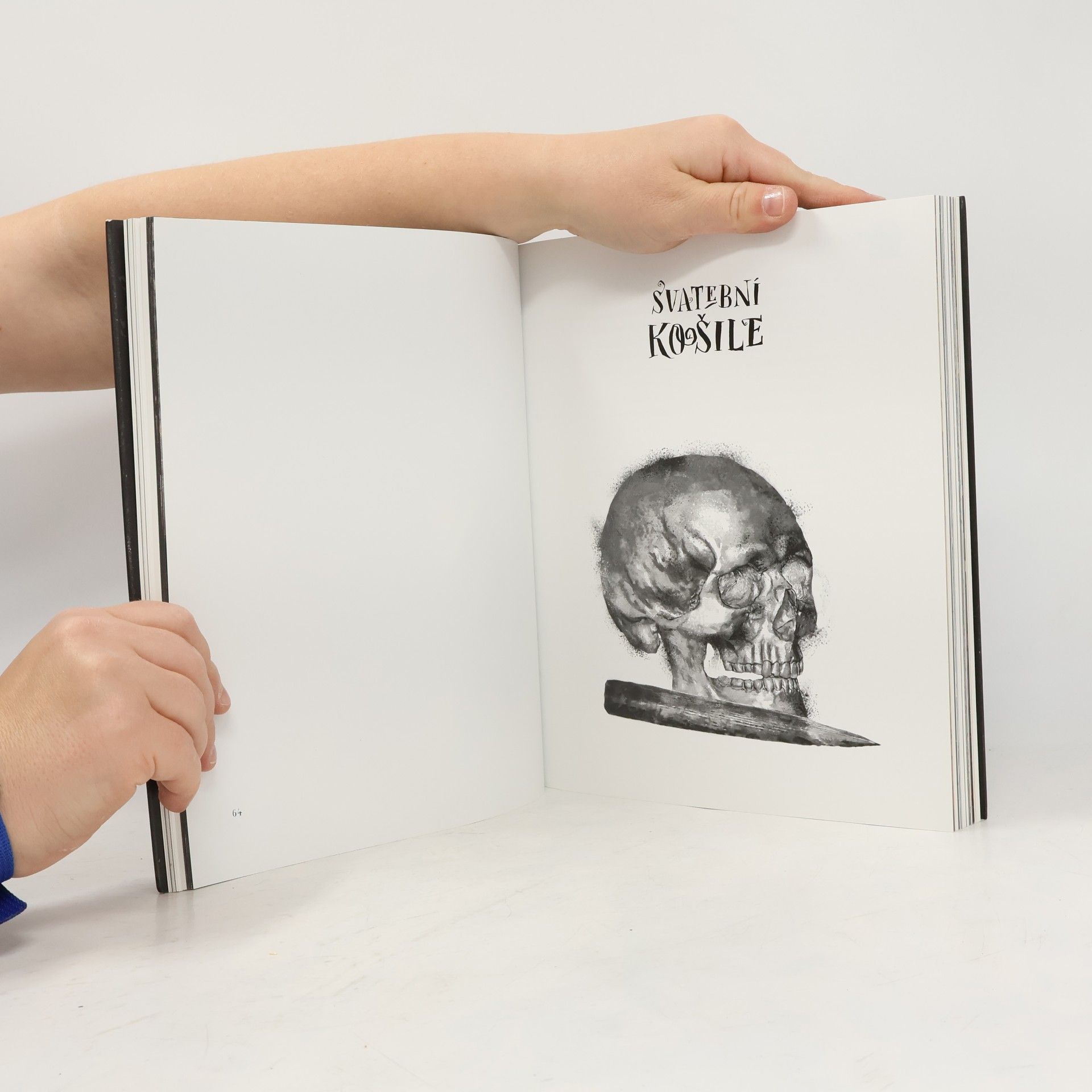 Various authors Komiksová Kytice