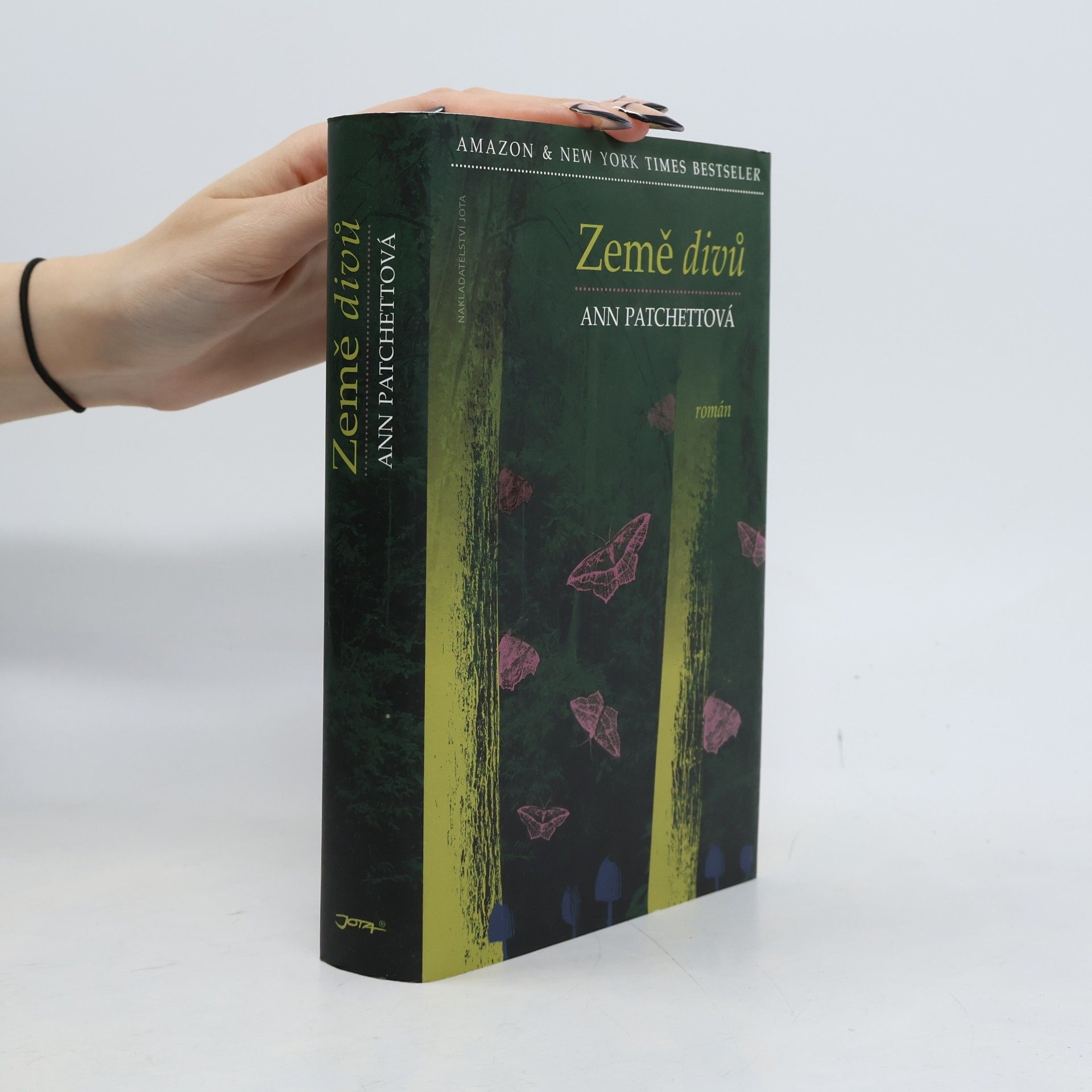 Ann Patchett Země divů