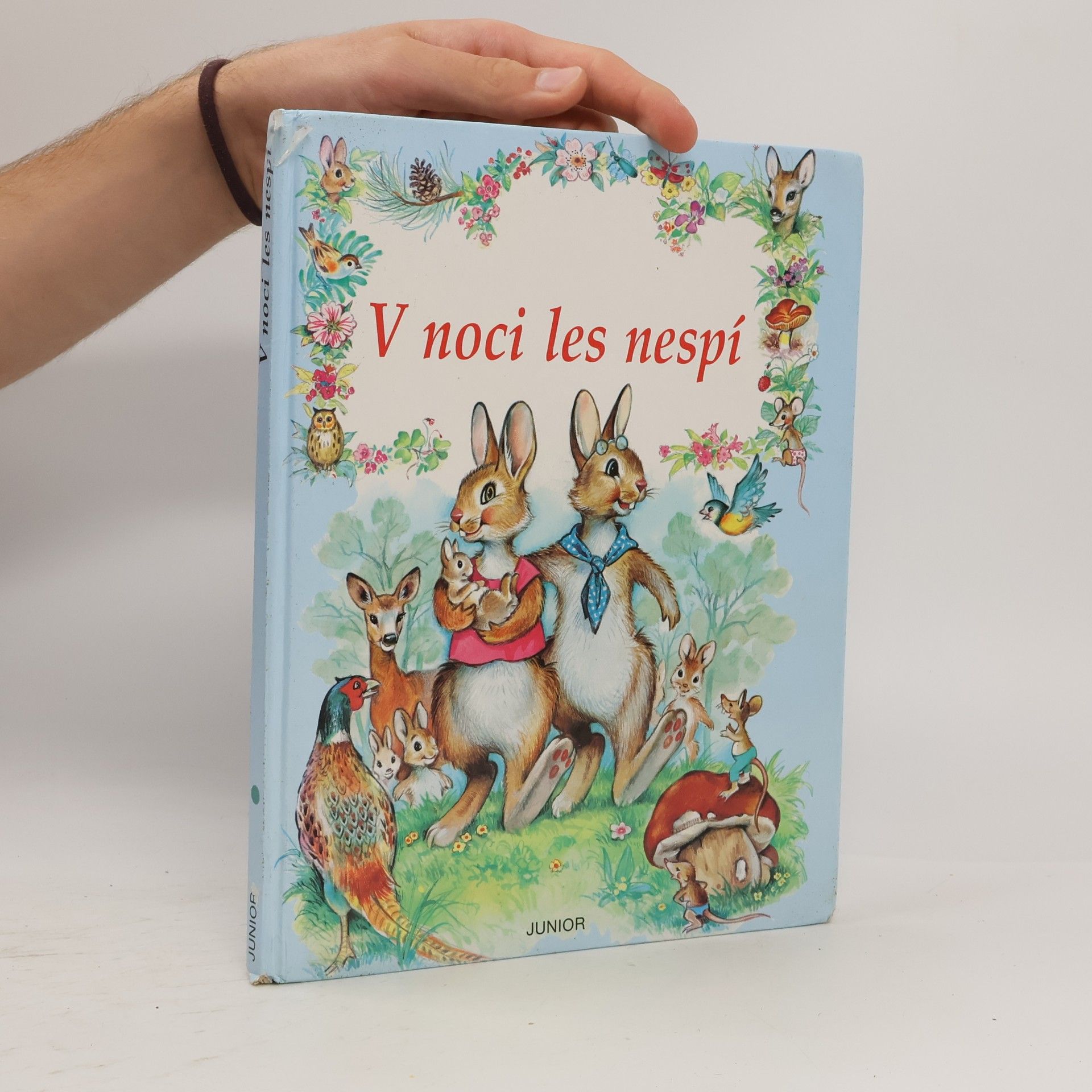 V noci les nespí