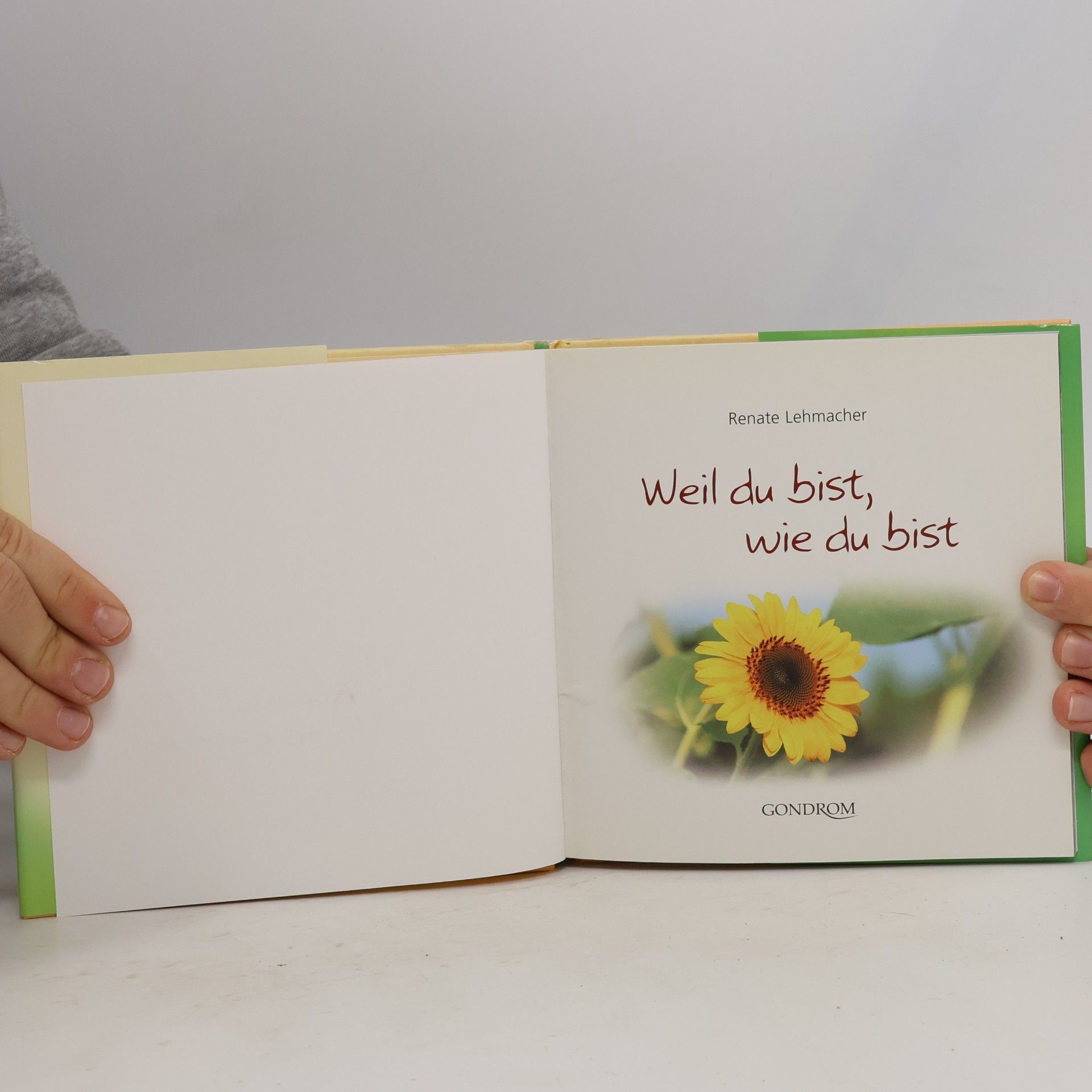 Renate Lehmacher Weil du bist, wie du bist