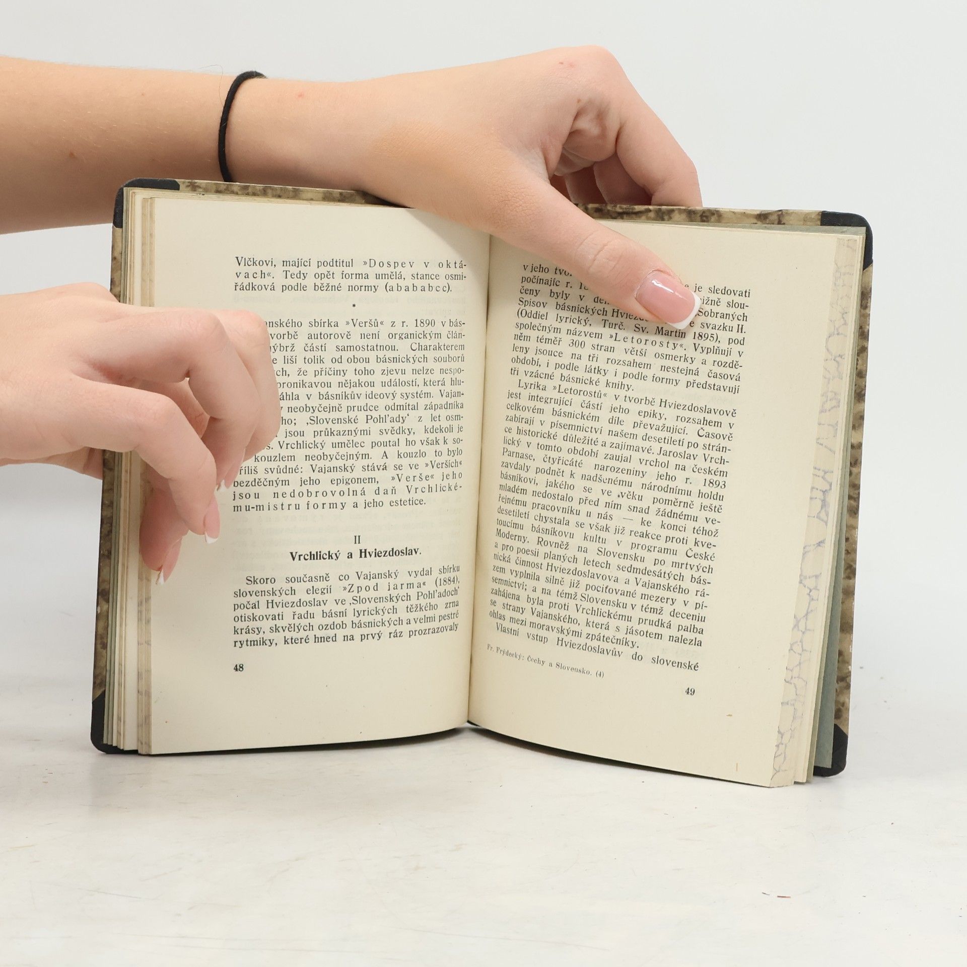 František Frýdecký Čechy a Slovensko v zrcadle literatury