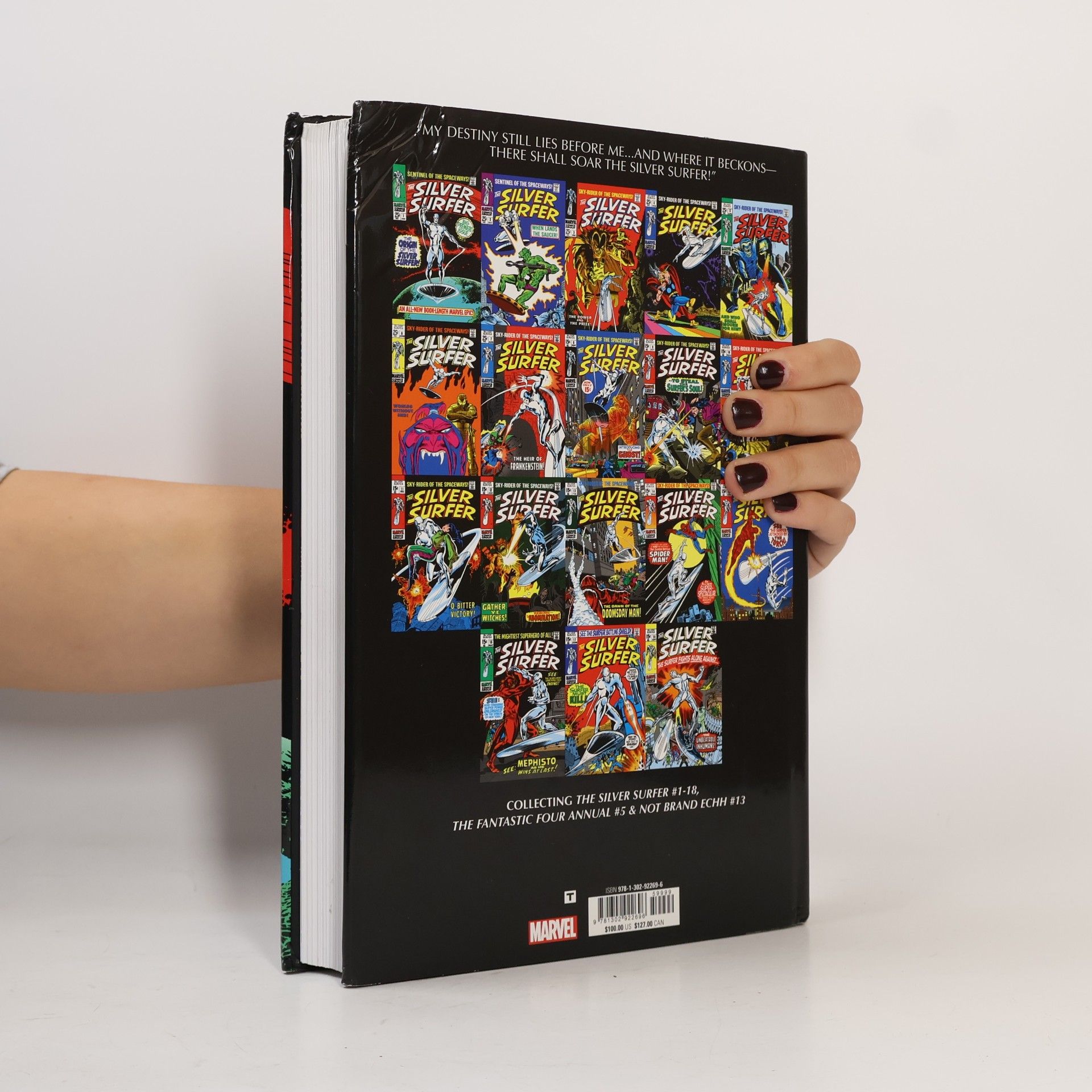 Stan Lee Marvel Omnibus - 1: The Silver Surfer